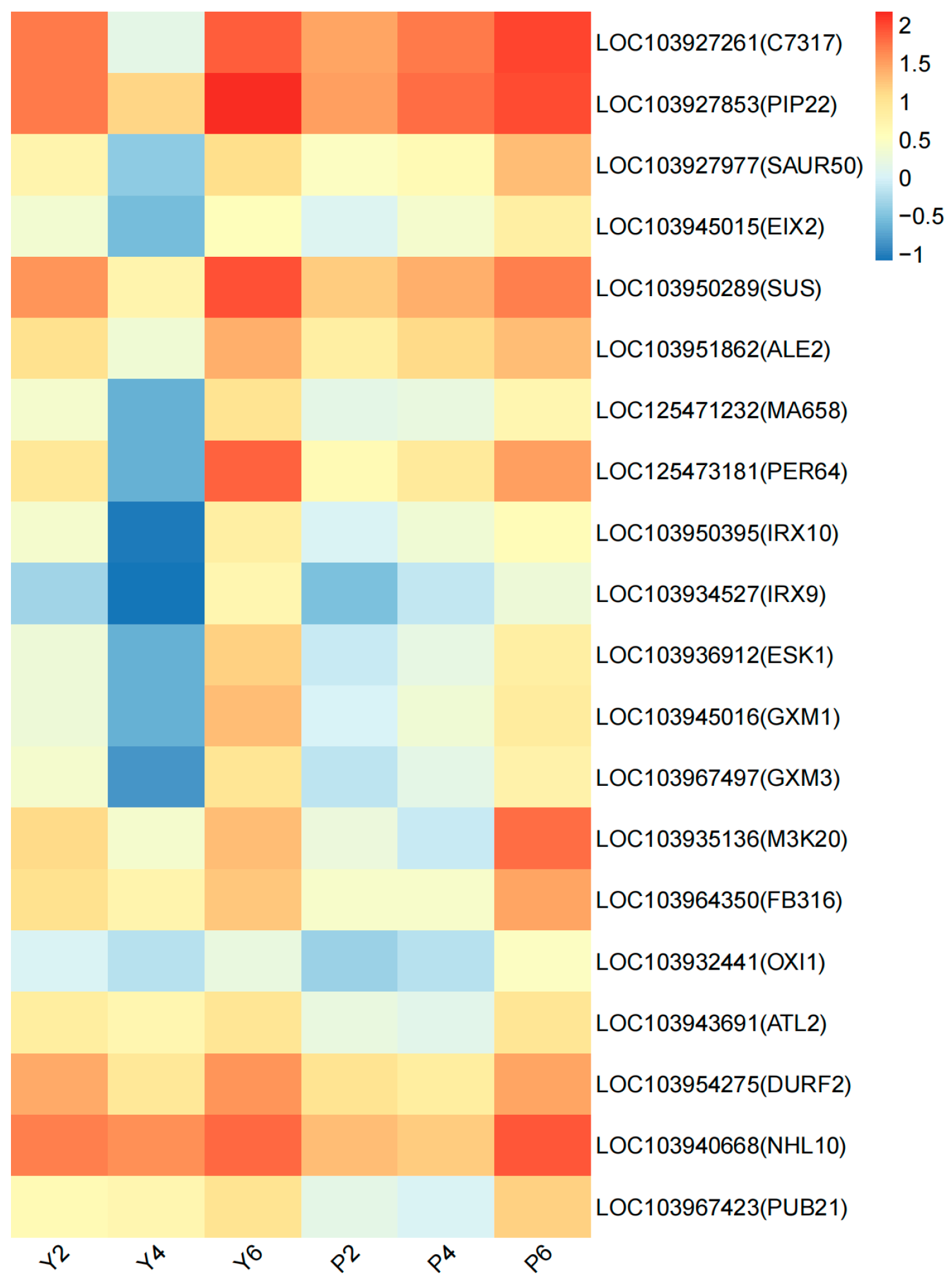 Plants 13 03504 g013
