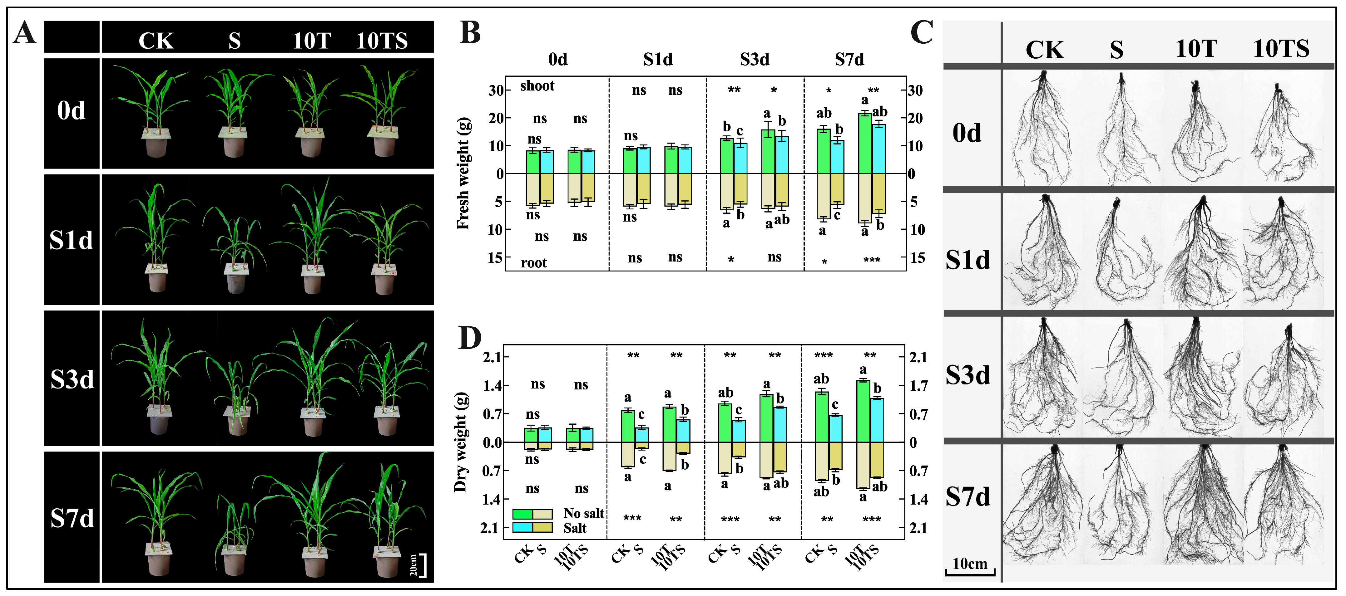 Plants 13 03506 g001a
