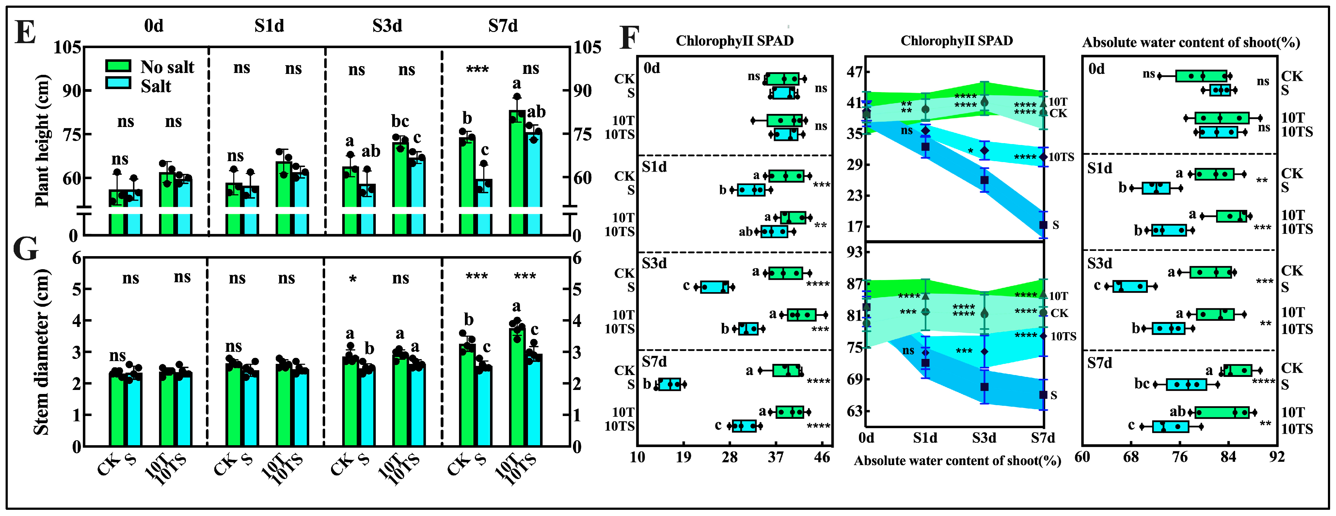 Plants 13 03506 g001b