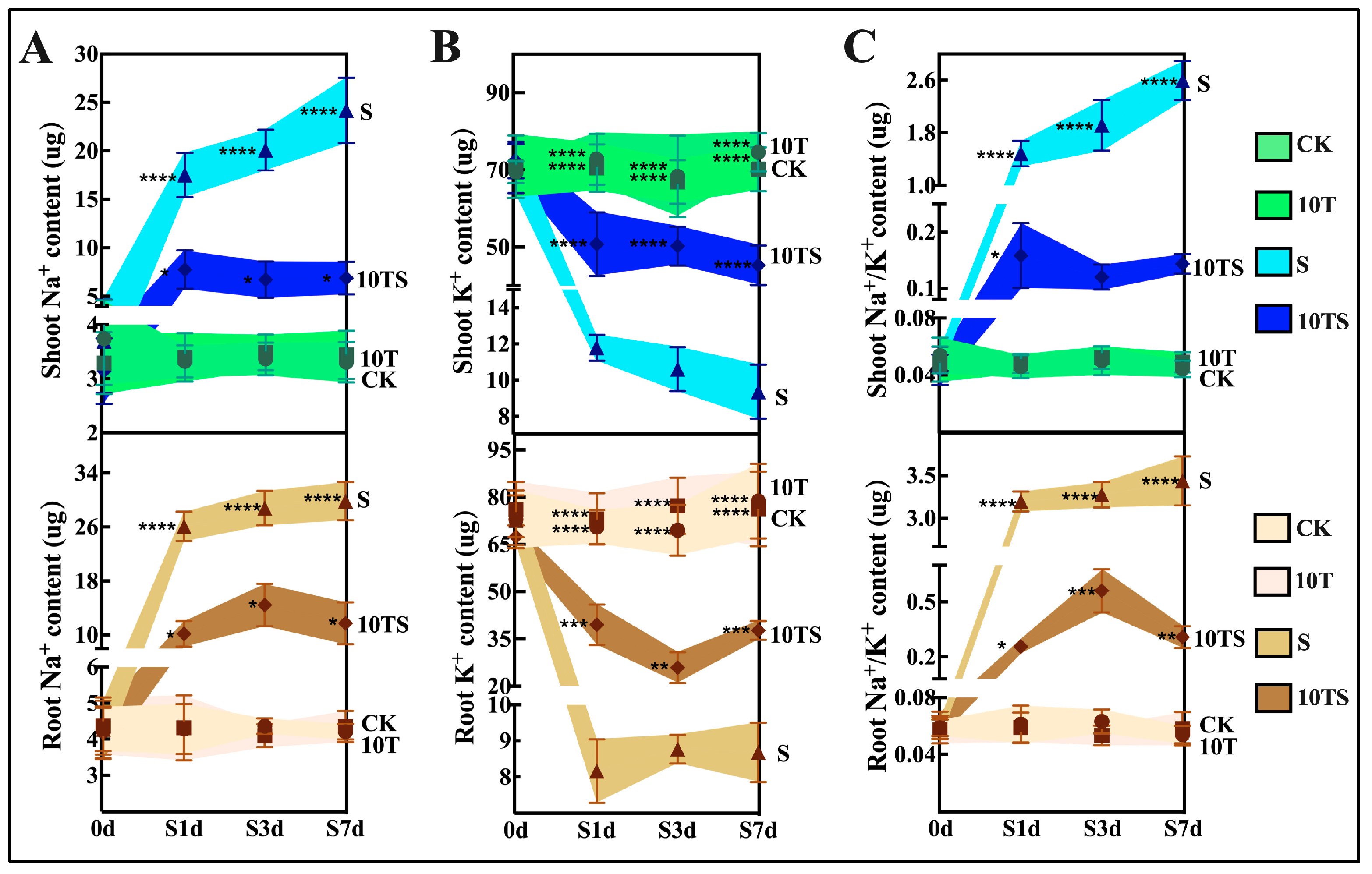 Plants 13 03506 g004
