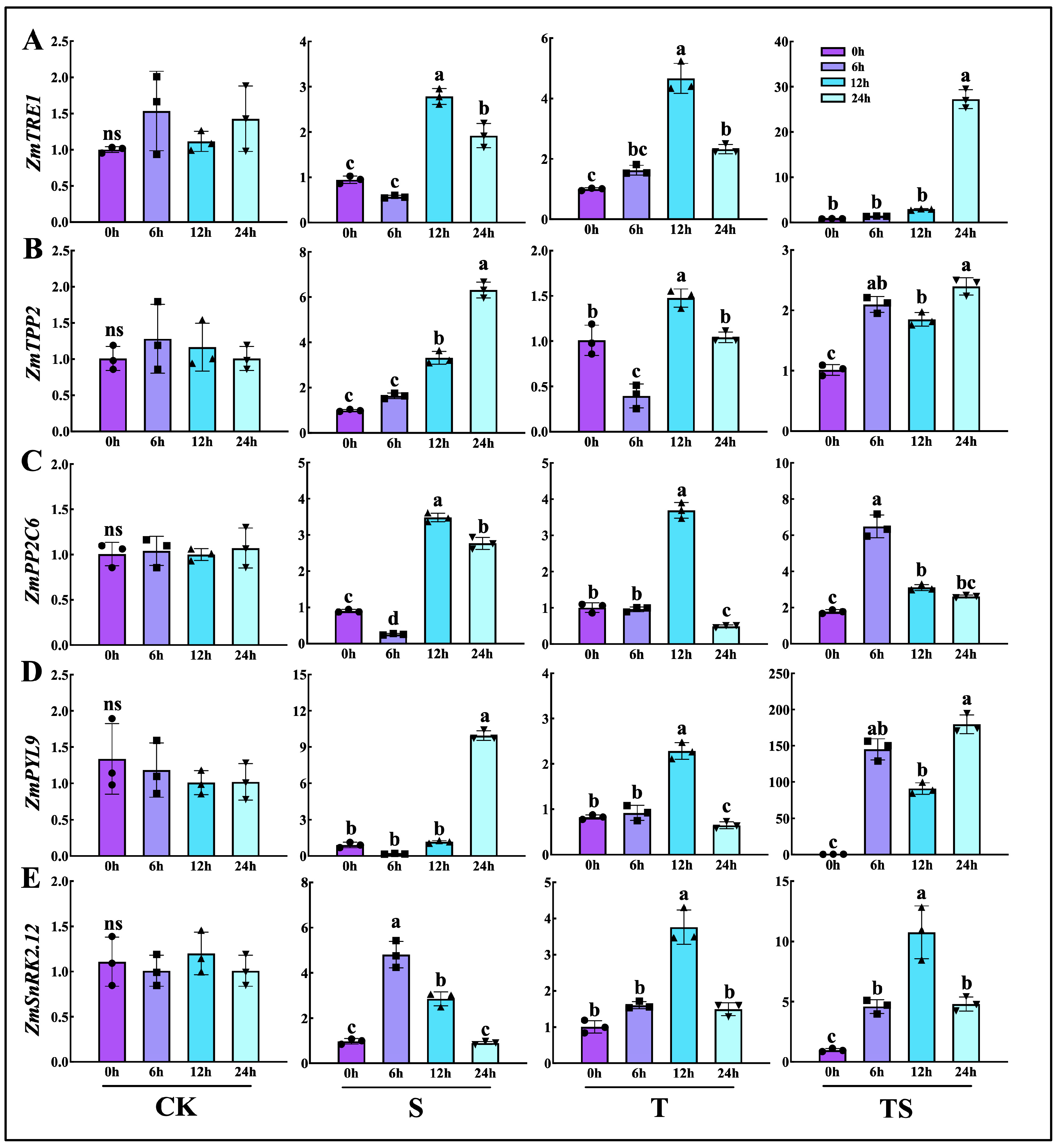 Plants 13 03506 g009
