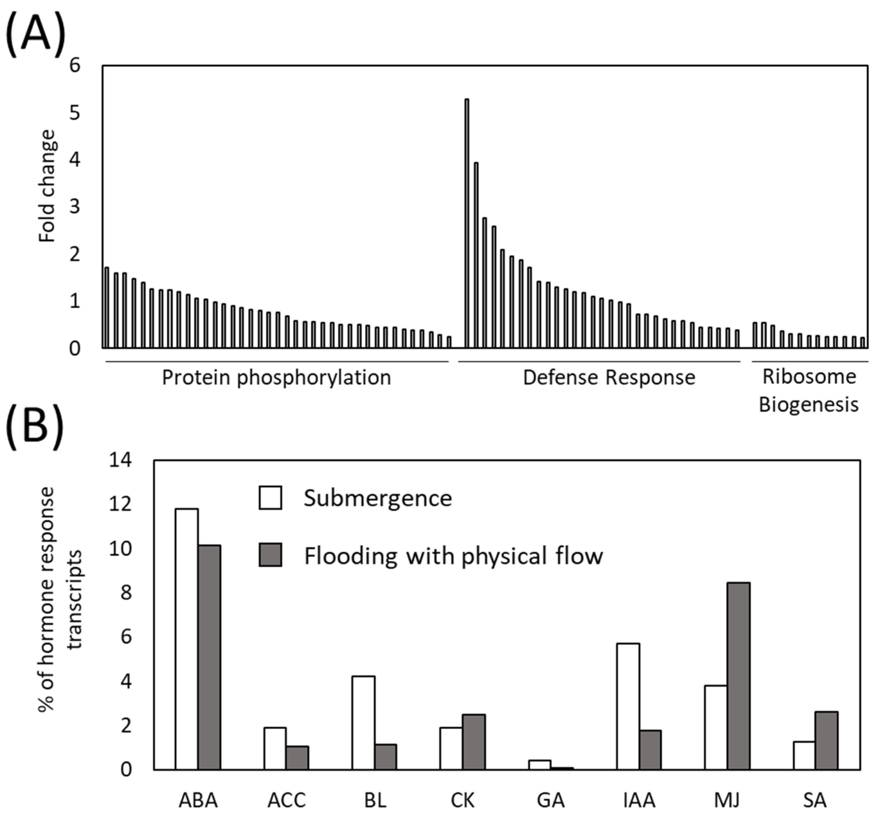 Plants 13 03508 g004