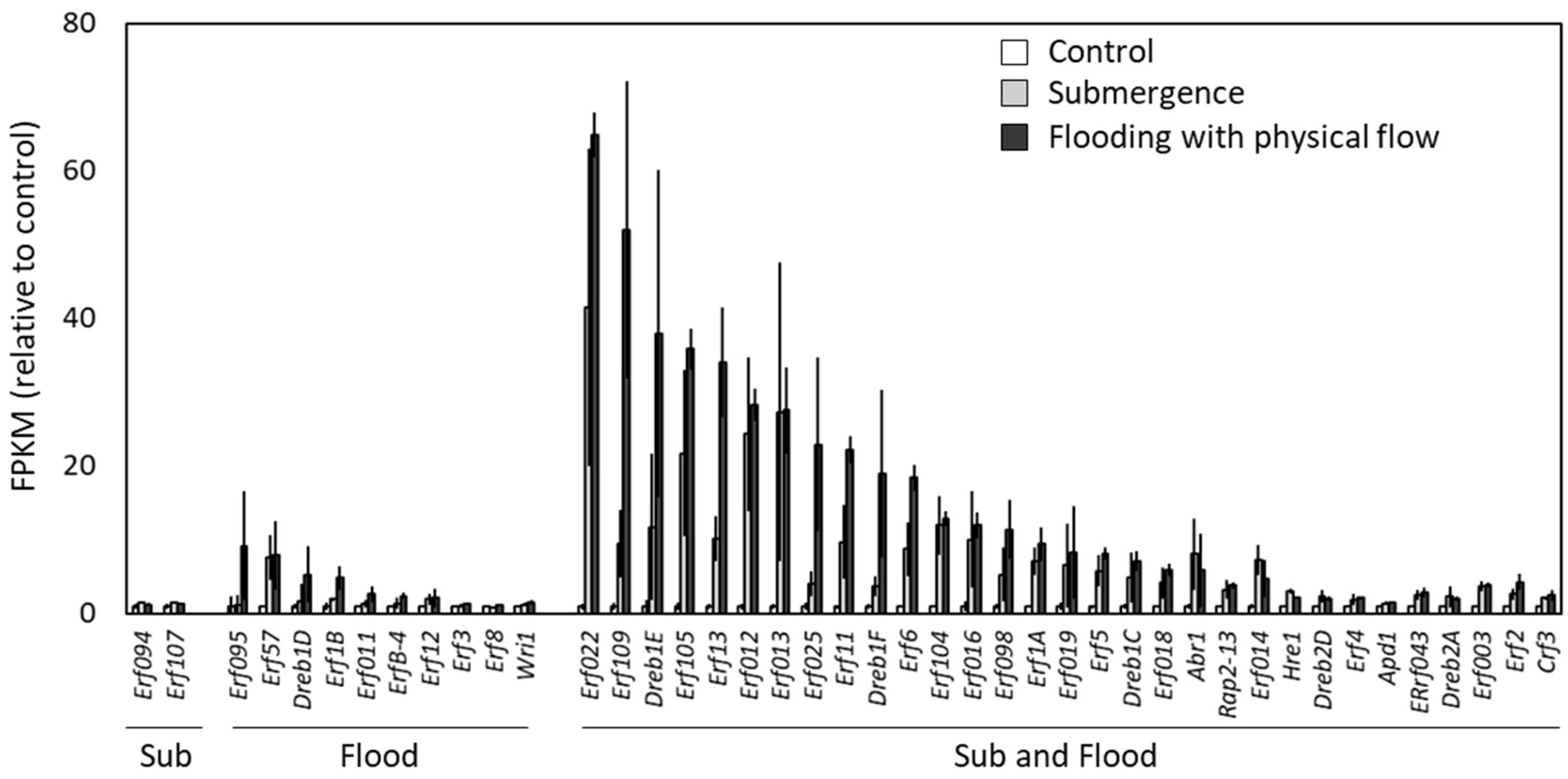 Plants 13 03508 g006
