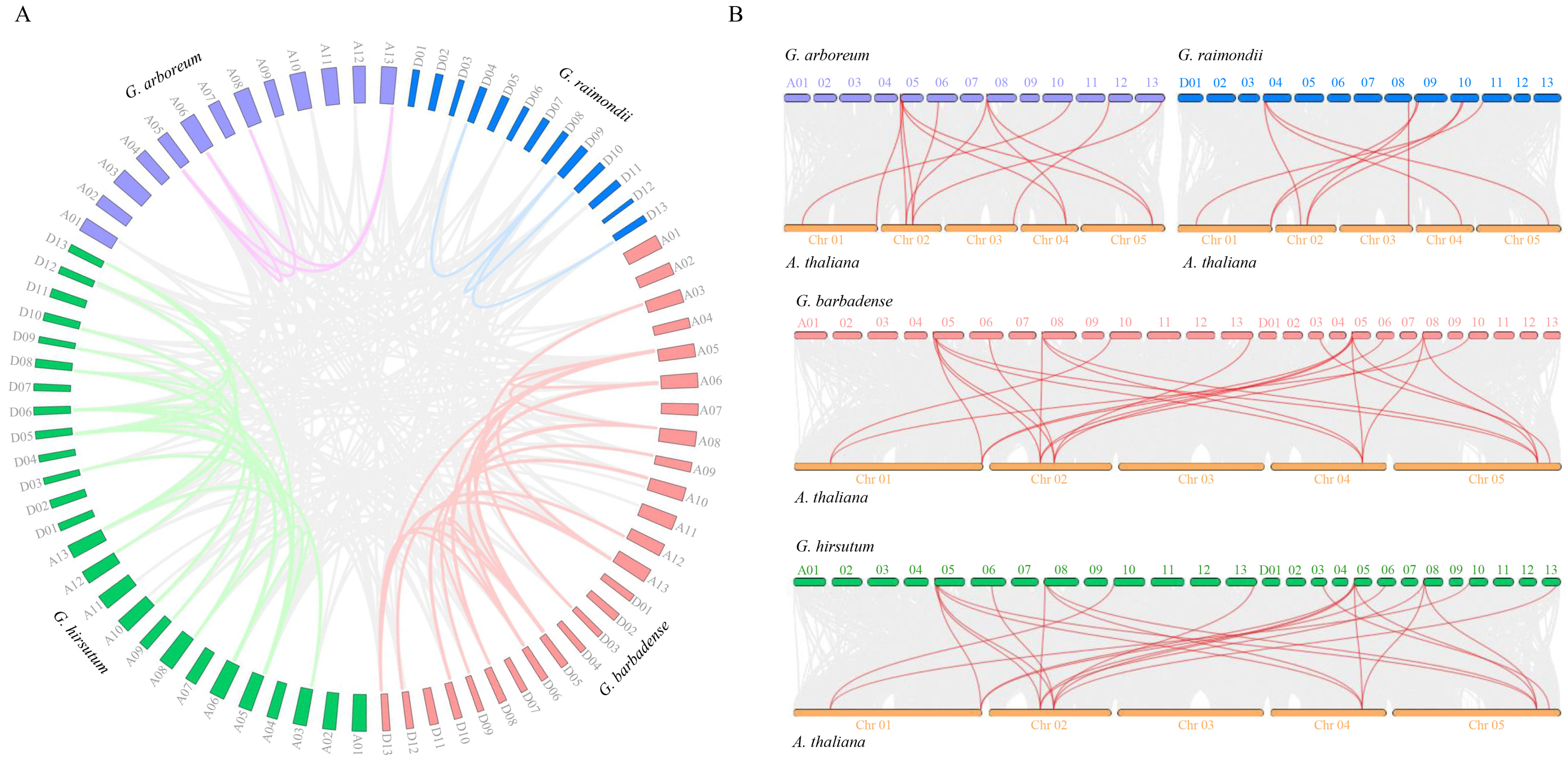 Plants 13 03510 g002