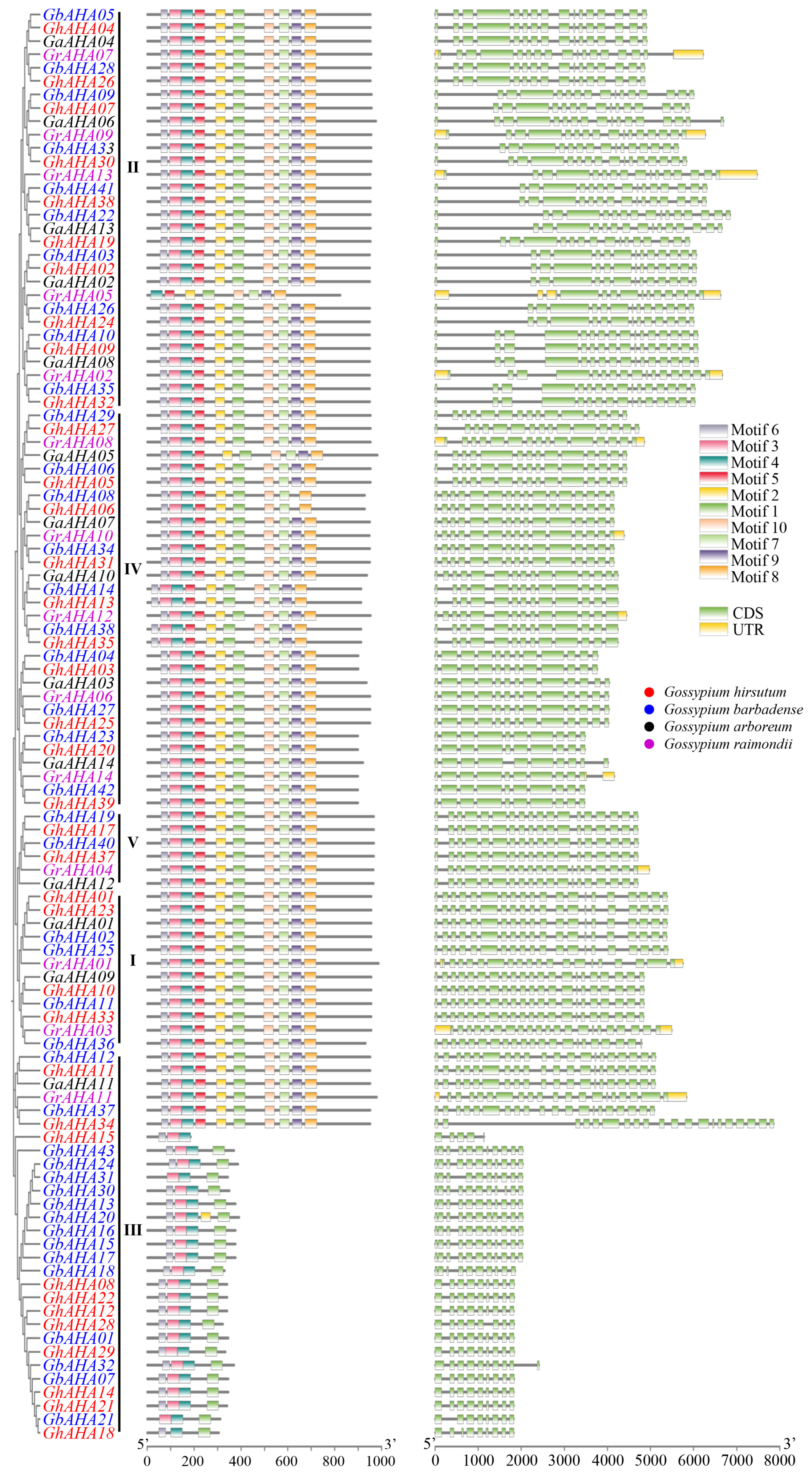 Plants 13 03510 g003