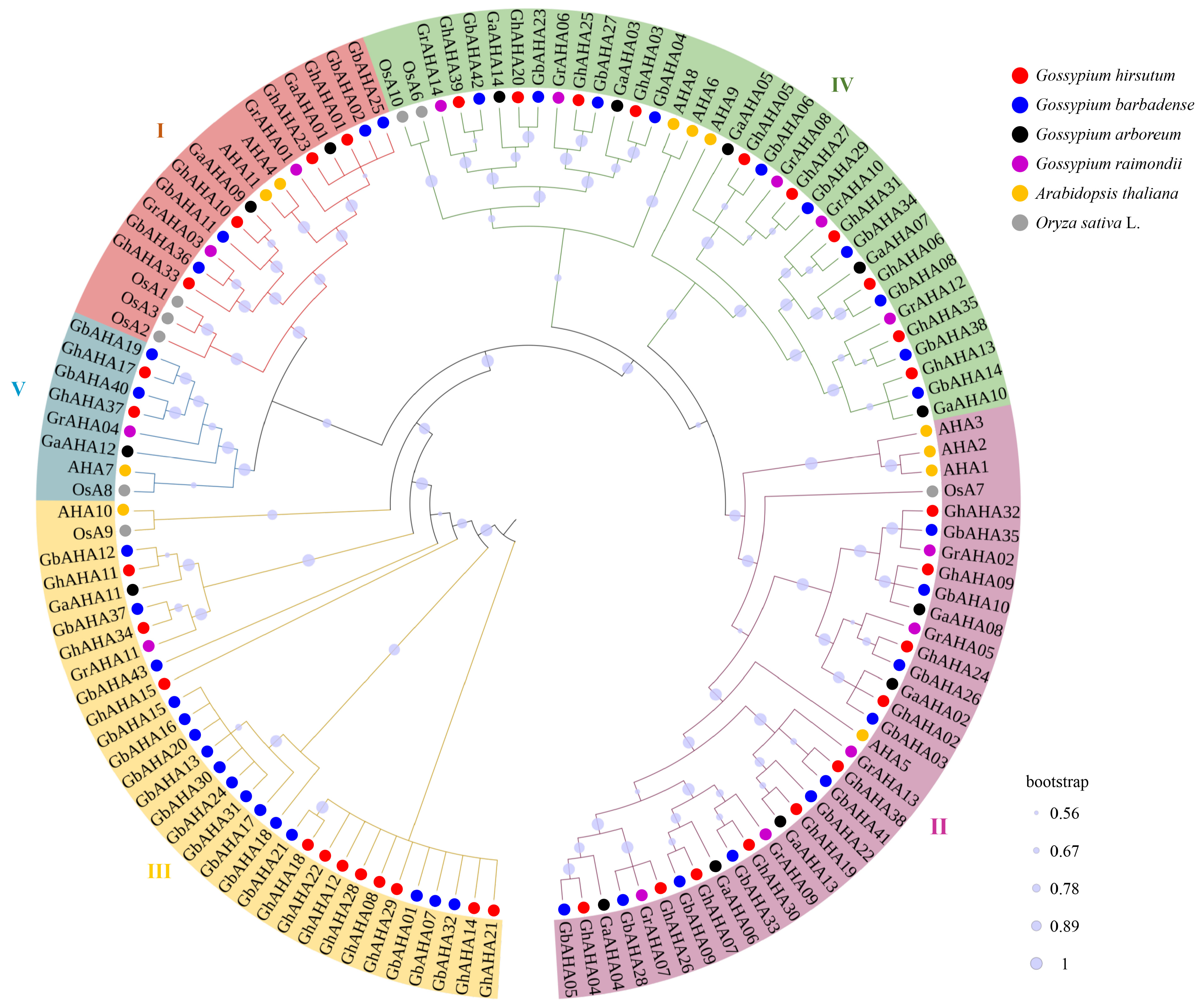 Plants 13 03510 g004