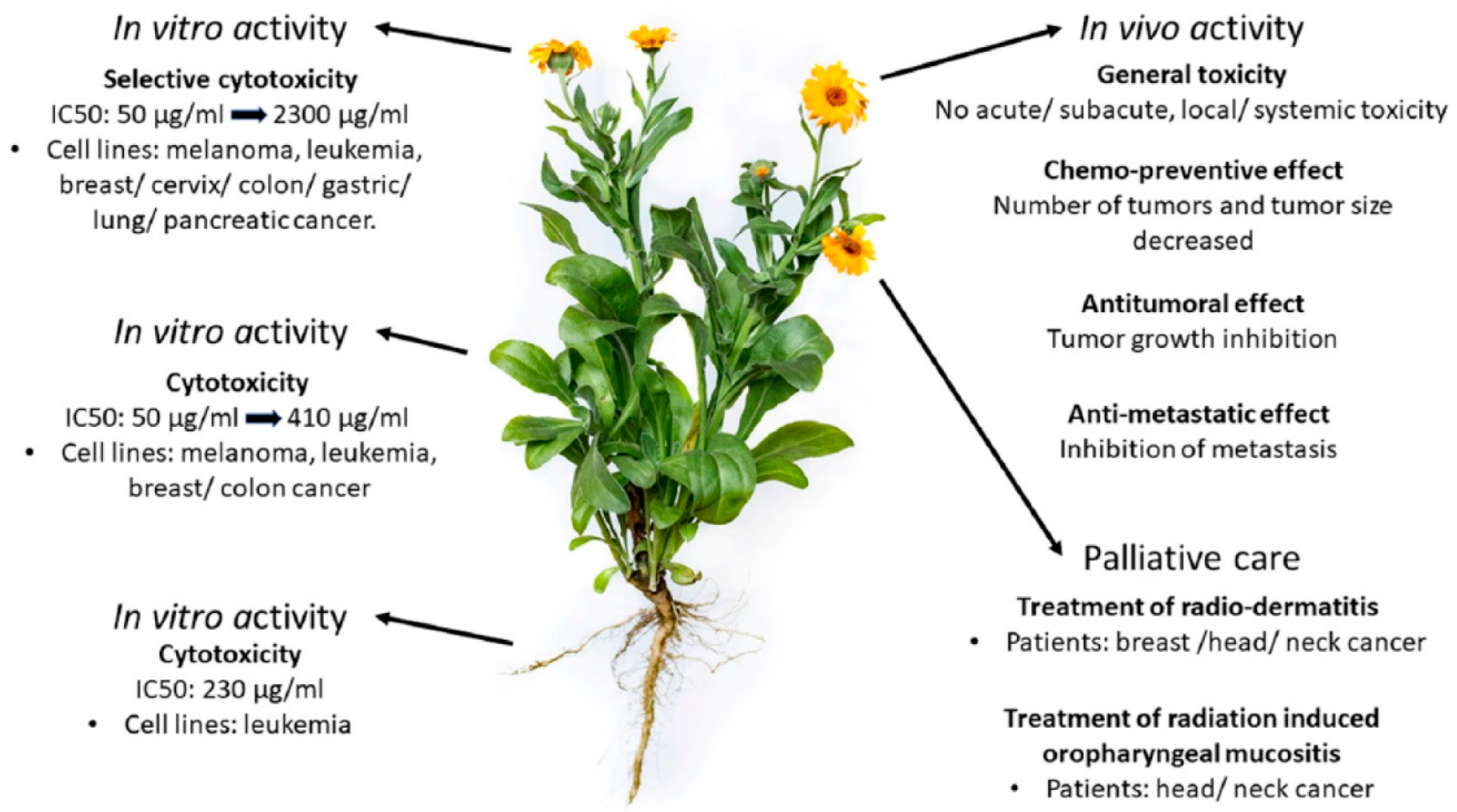 Plants 13 03515 g004 Plants 13 03515 g004