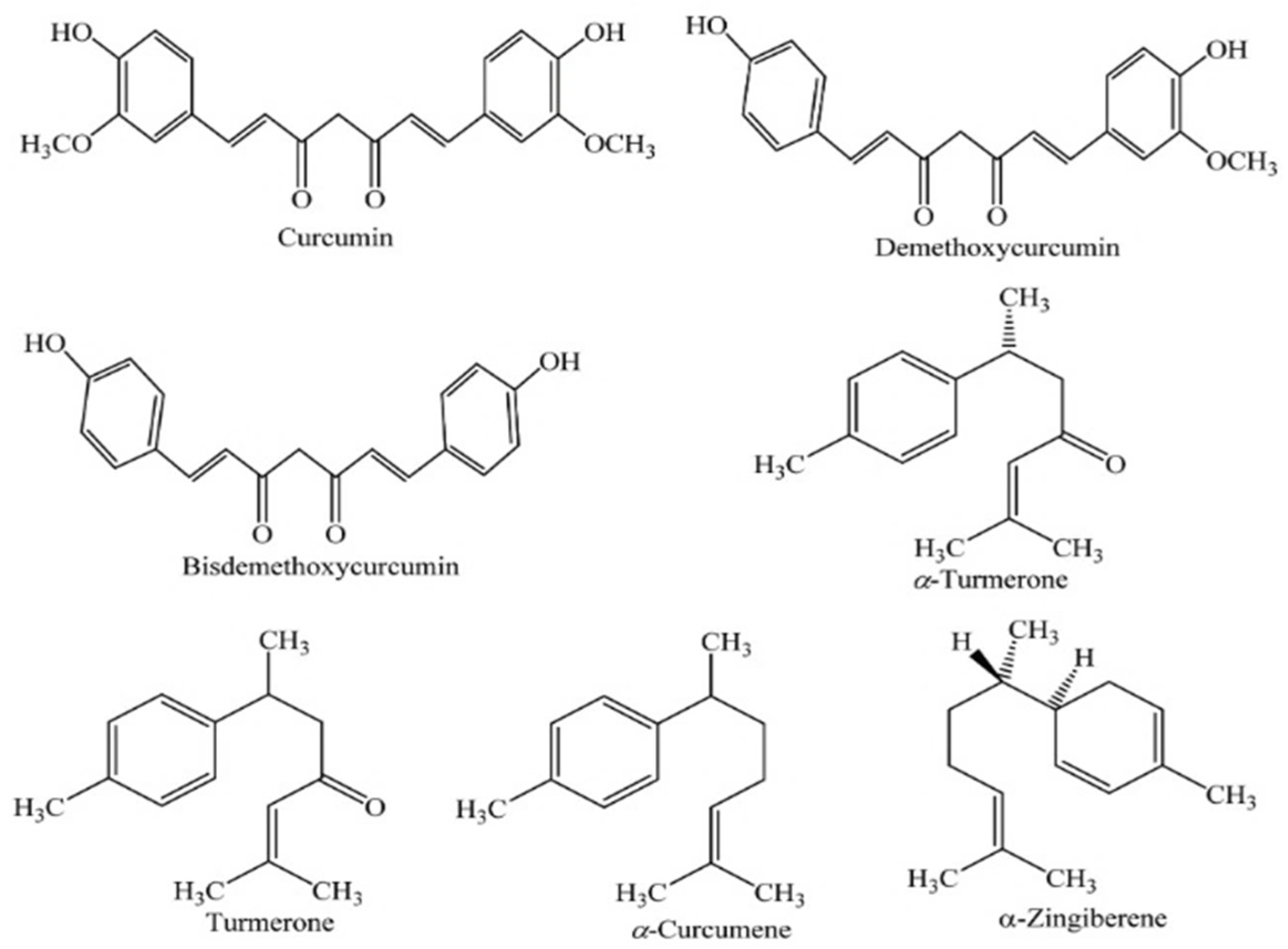 Plants 13 03515 g007 Plants 13 03515 g007