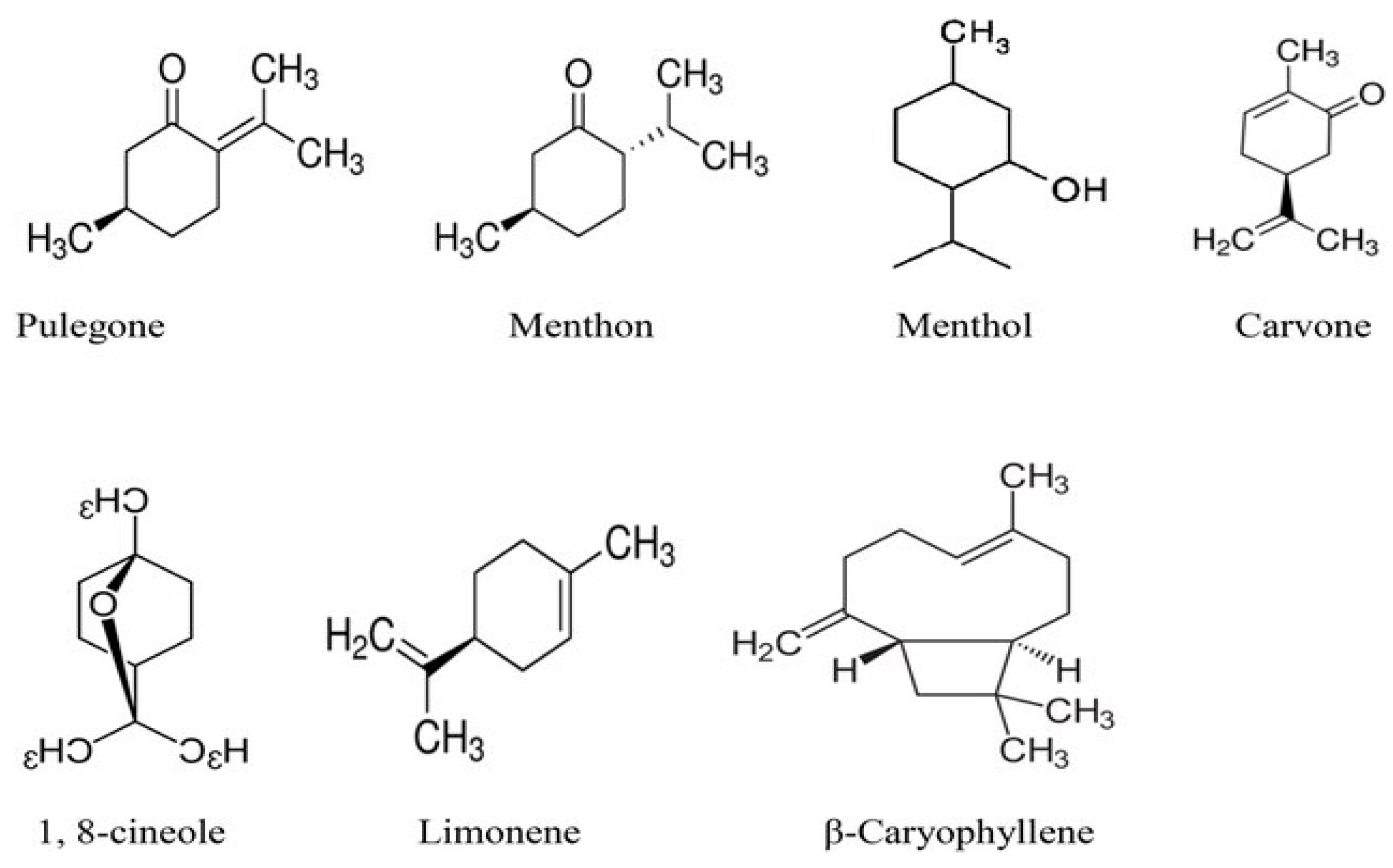 Plants 13 03515 g015 Plants 13 03515 g015