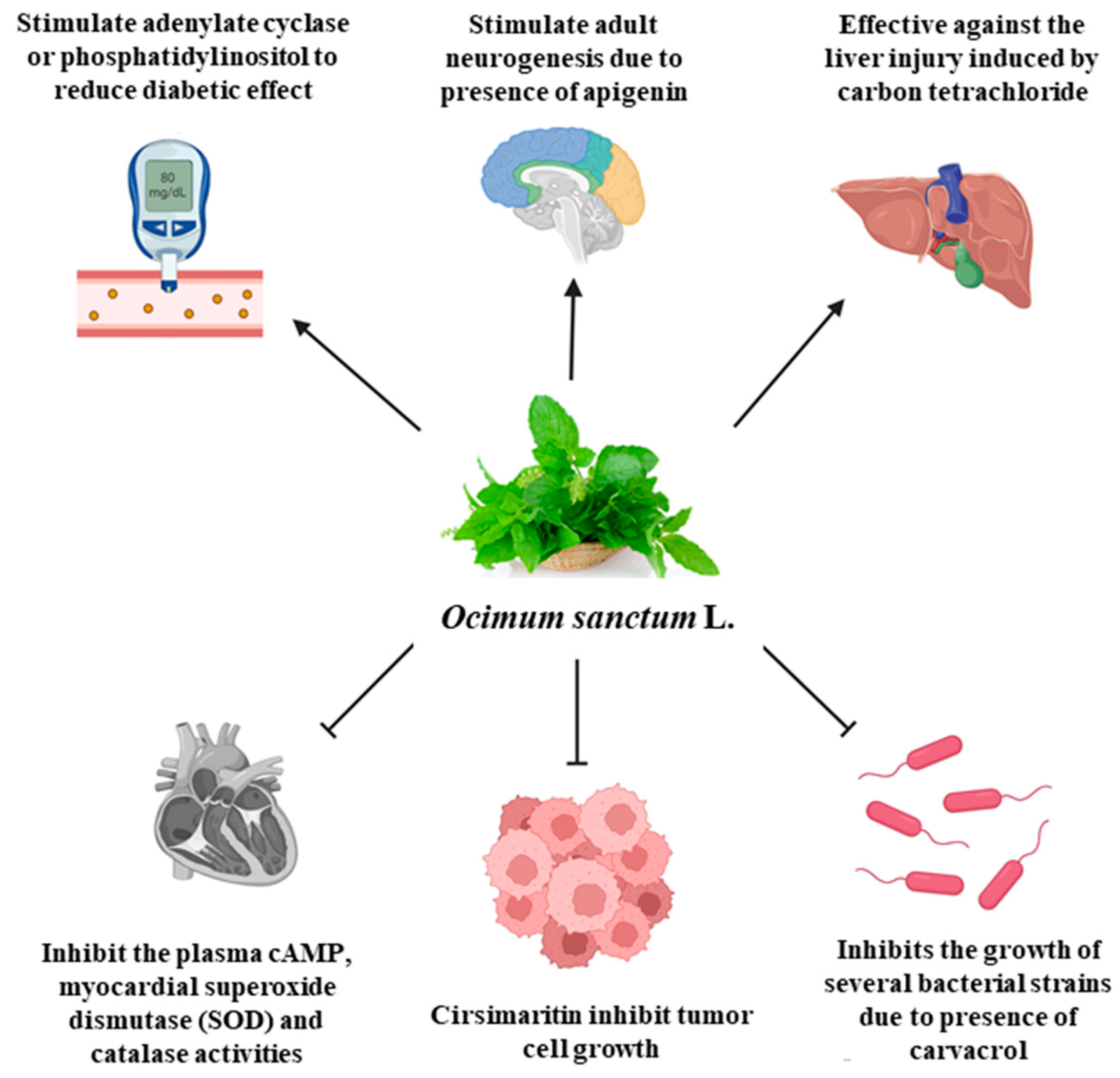 Plants 13 03516 g002