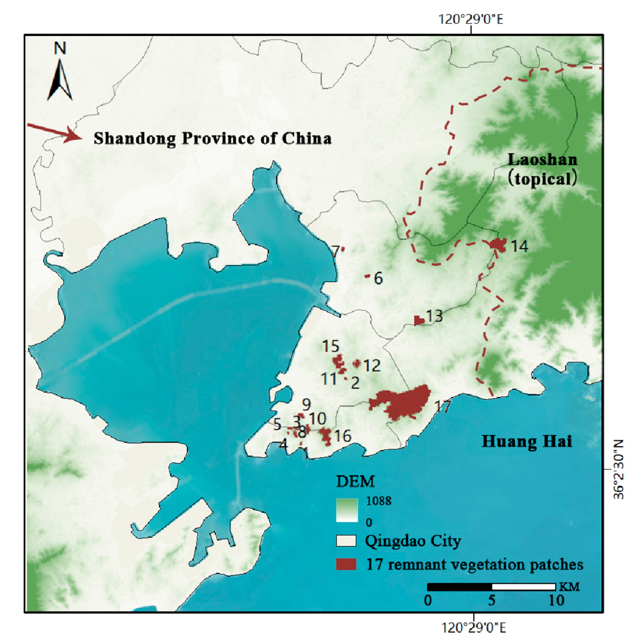 Plants 13 03522 g004