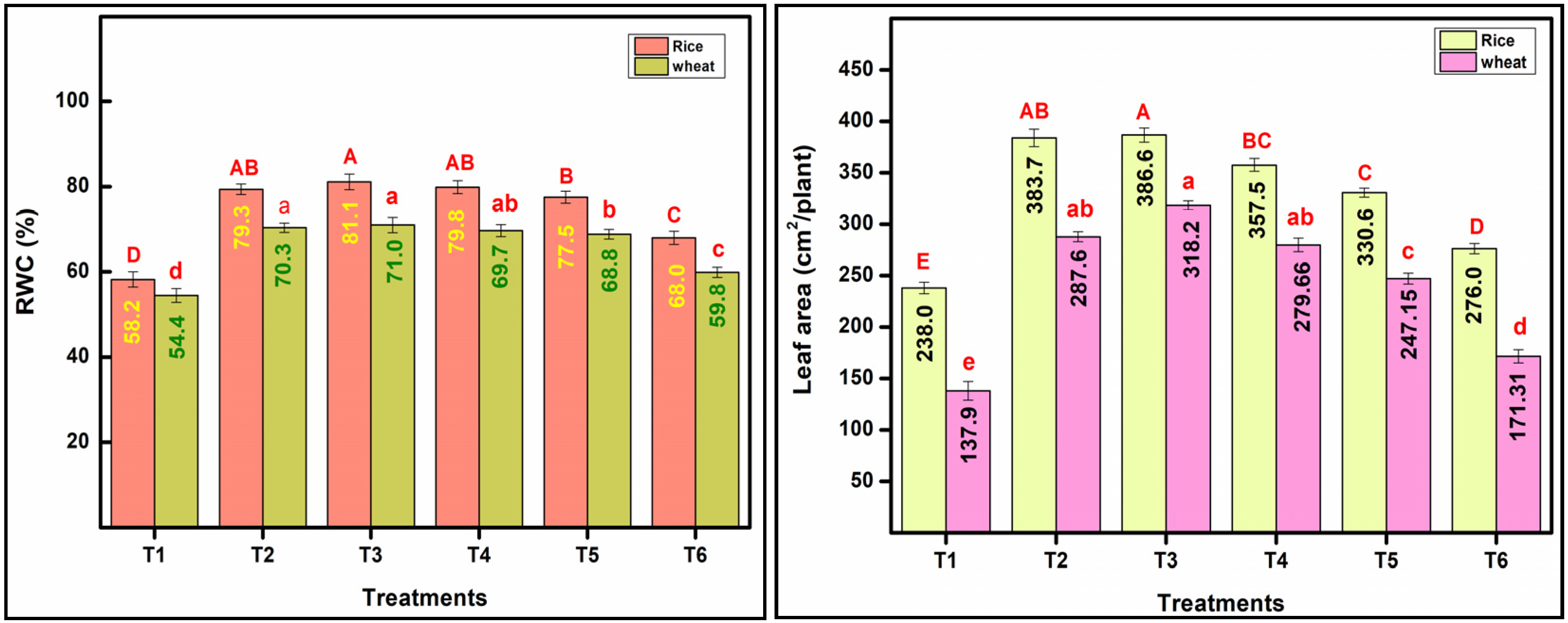 Plants 13 03523 g002