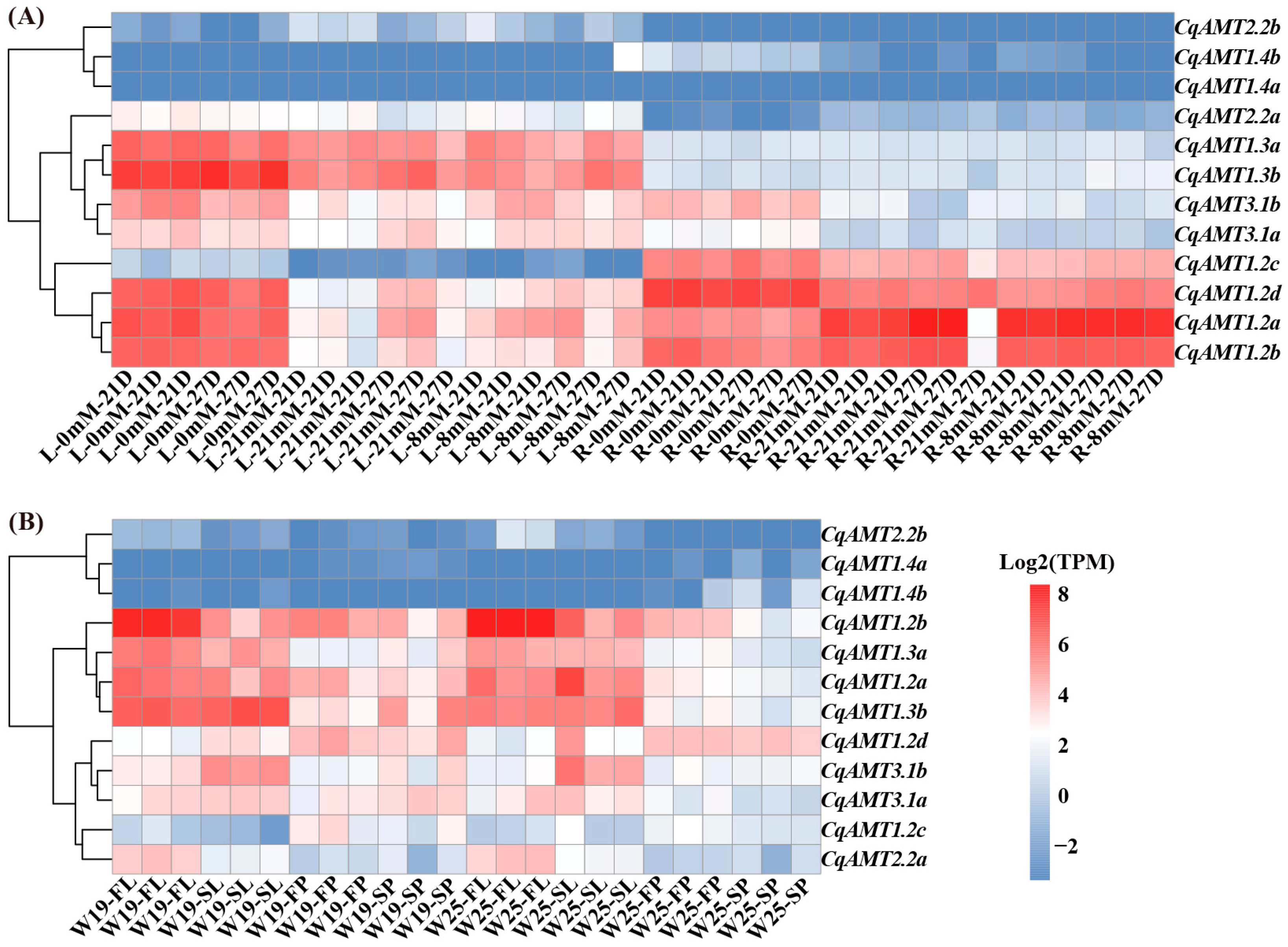 Plants 13 03524 g004