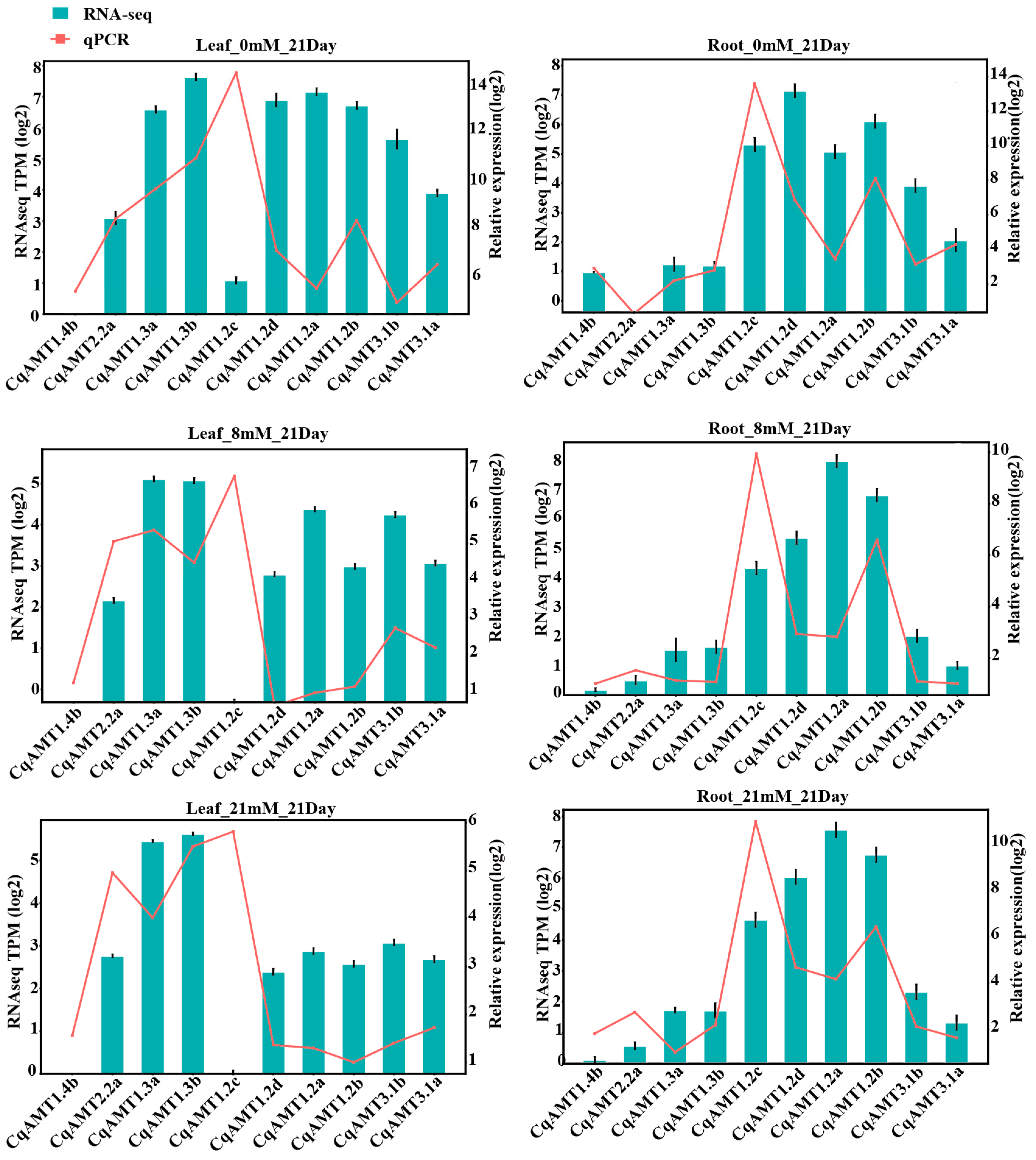 Plants 13 03524 g005