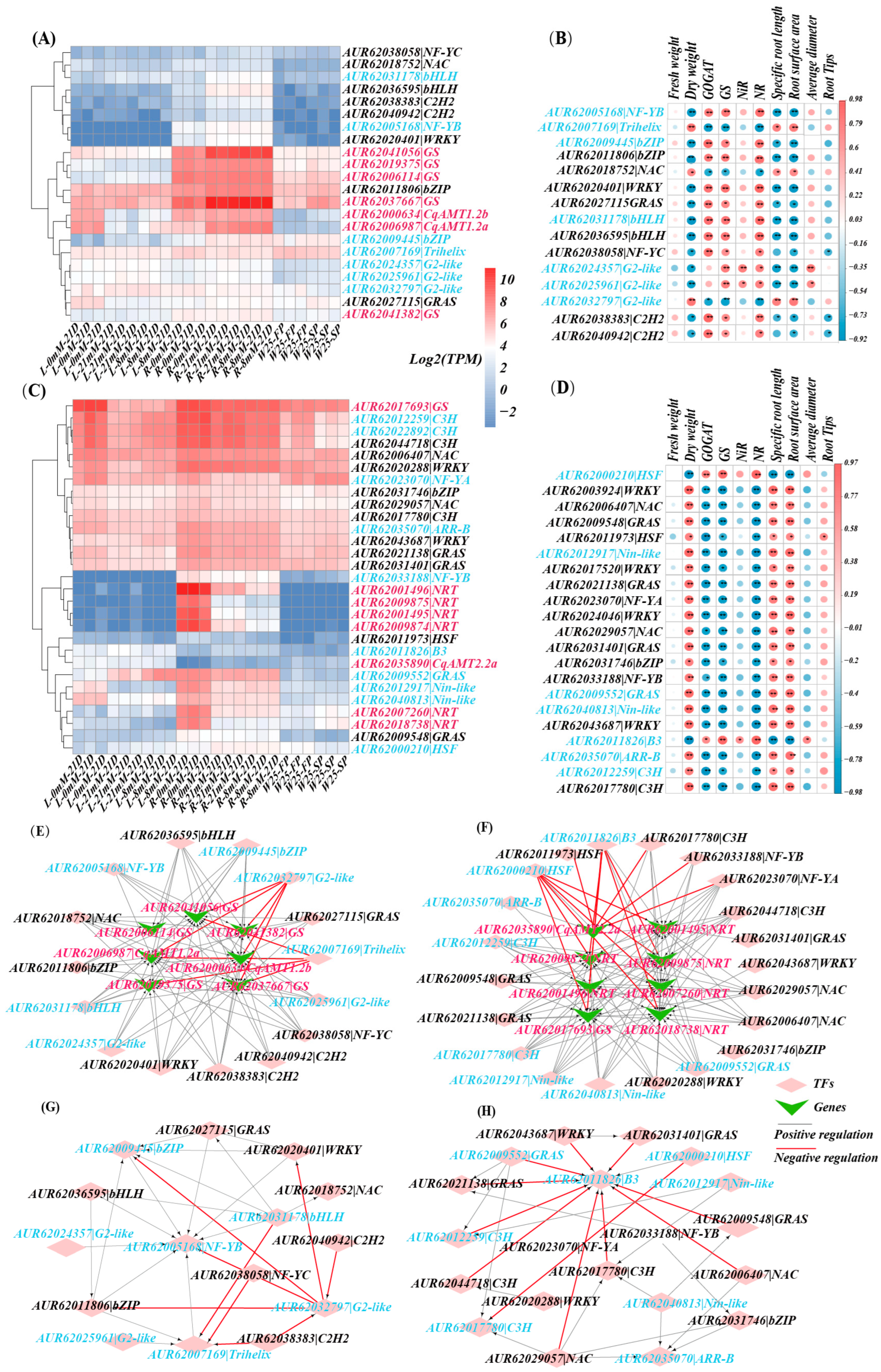 Plants 13 03524 g007