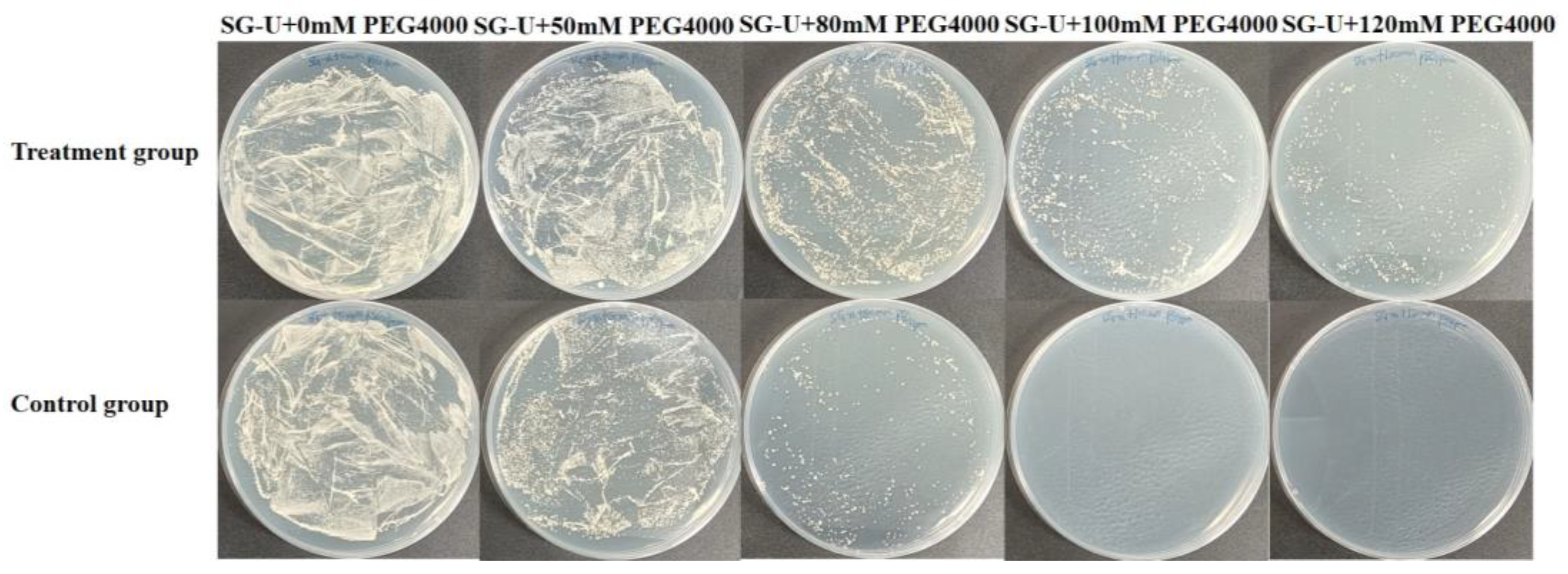 Plants 13 03528 g003