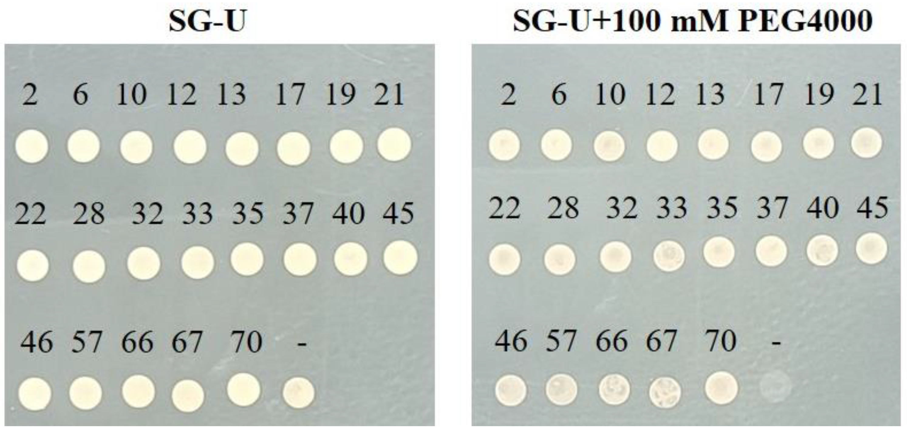 Plants 13 03528 g006