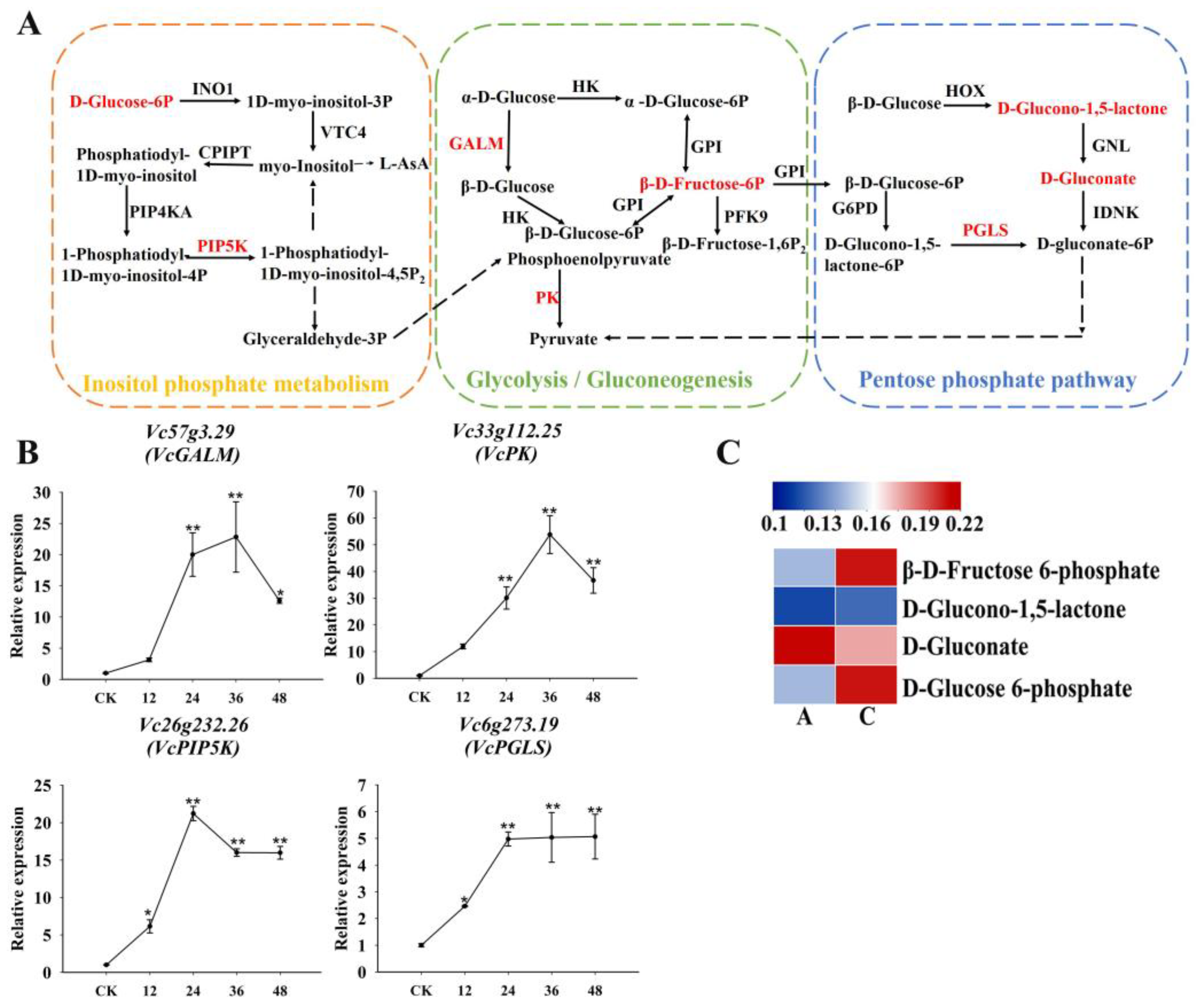 Plants 13 03528 g009