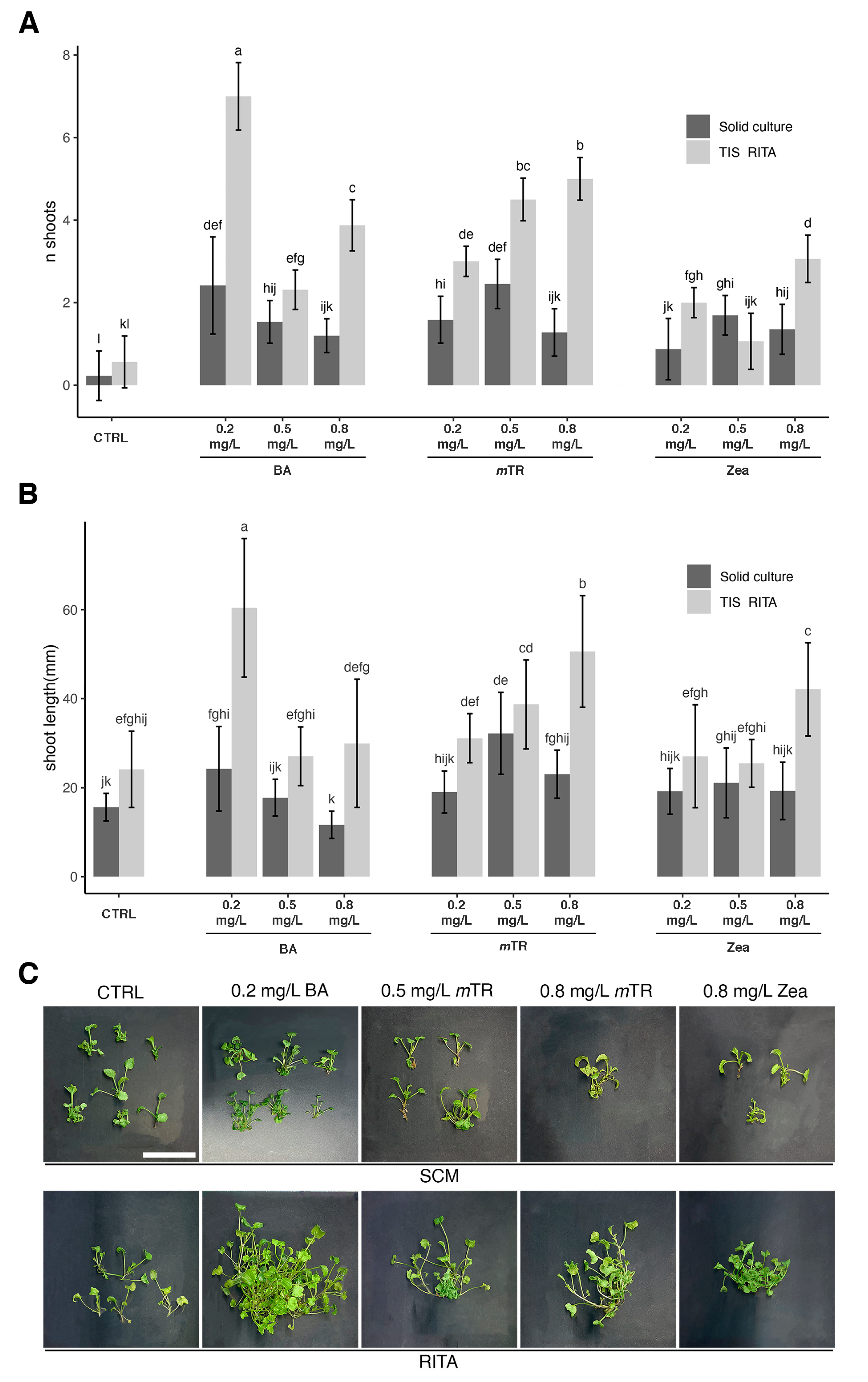Plants 13 03530 g001 Plants 13 03530 g001