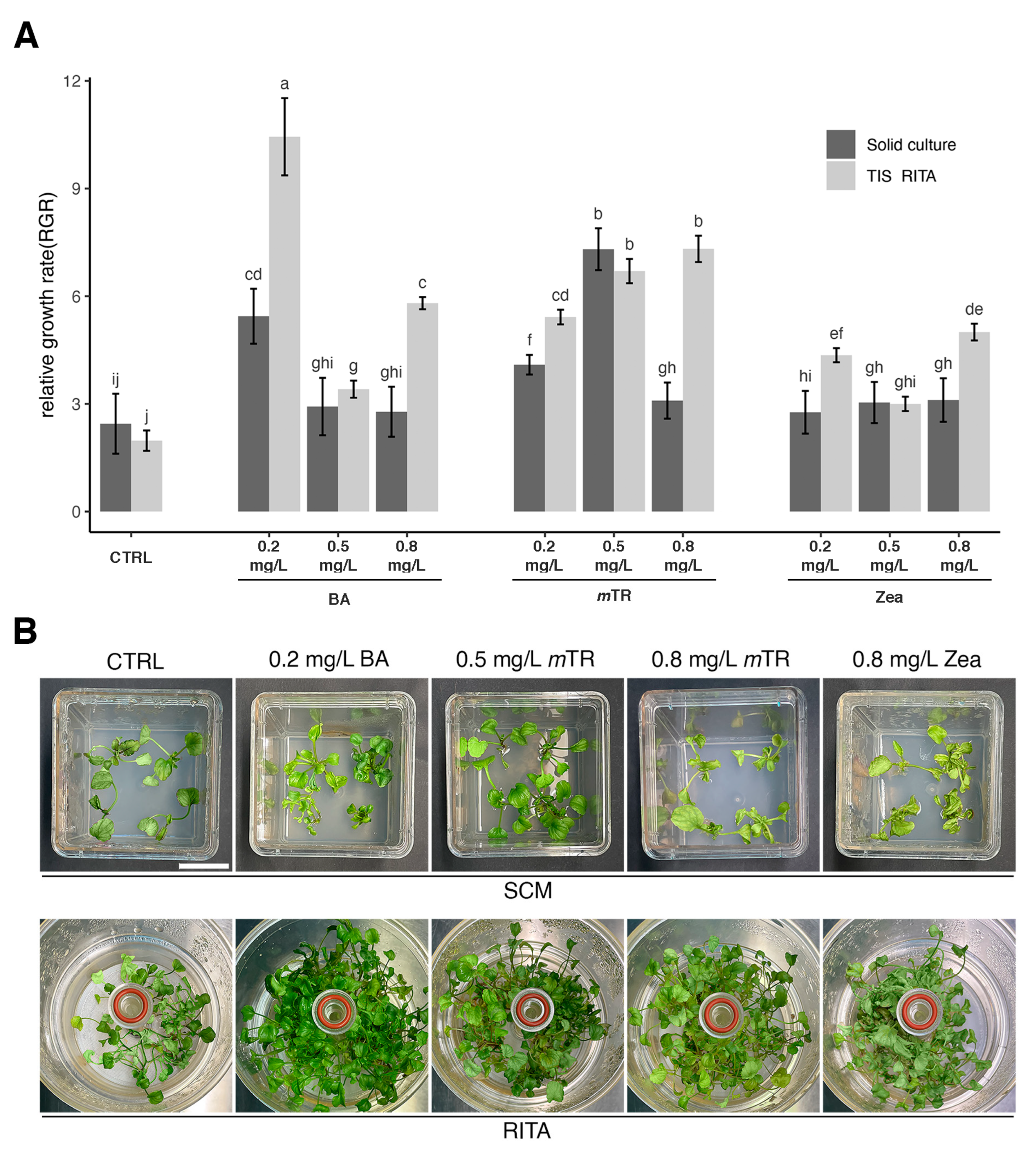 Plants 13 03530 g002 Plants 13 03530 g002
