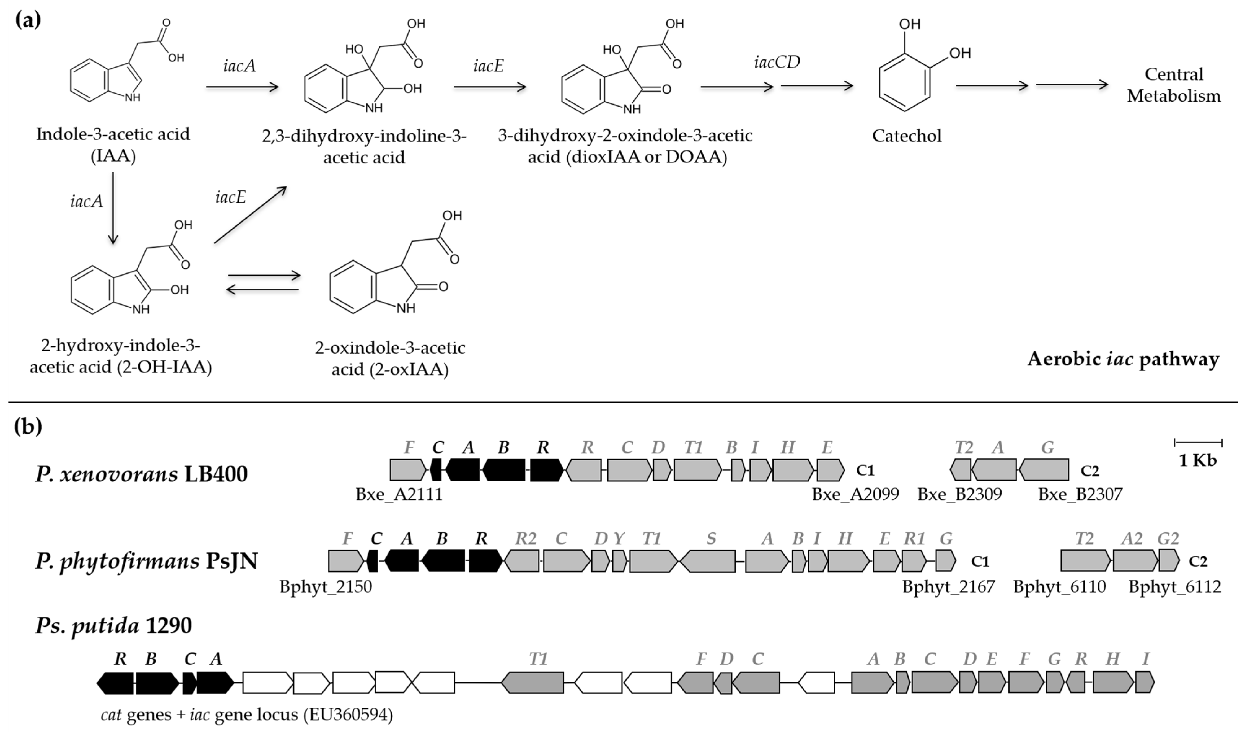 Plants 13 03533 g005