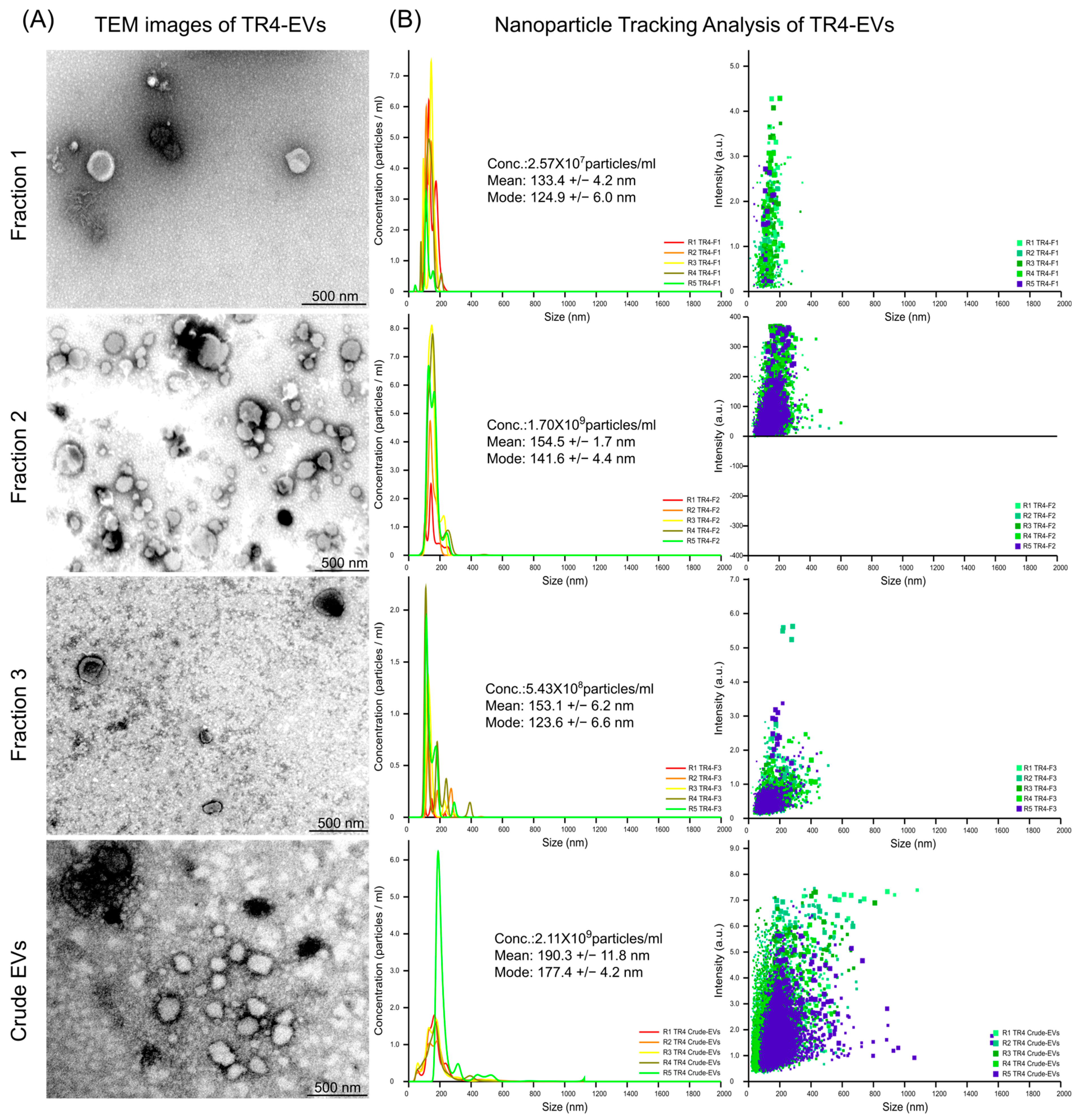 Plants 13 03534 g001