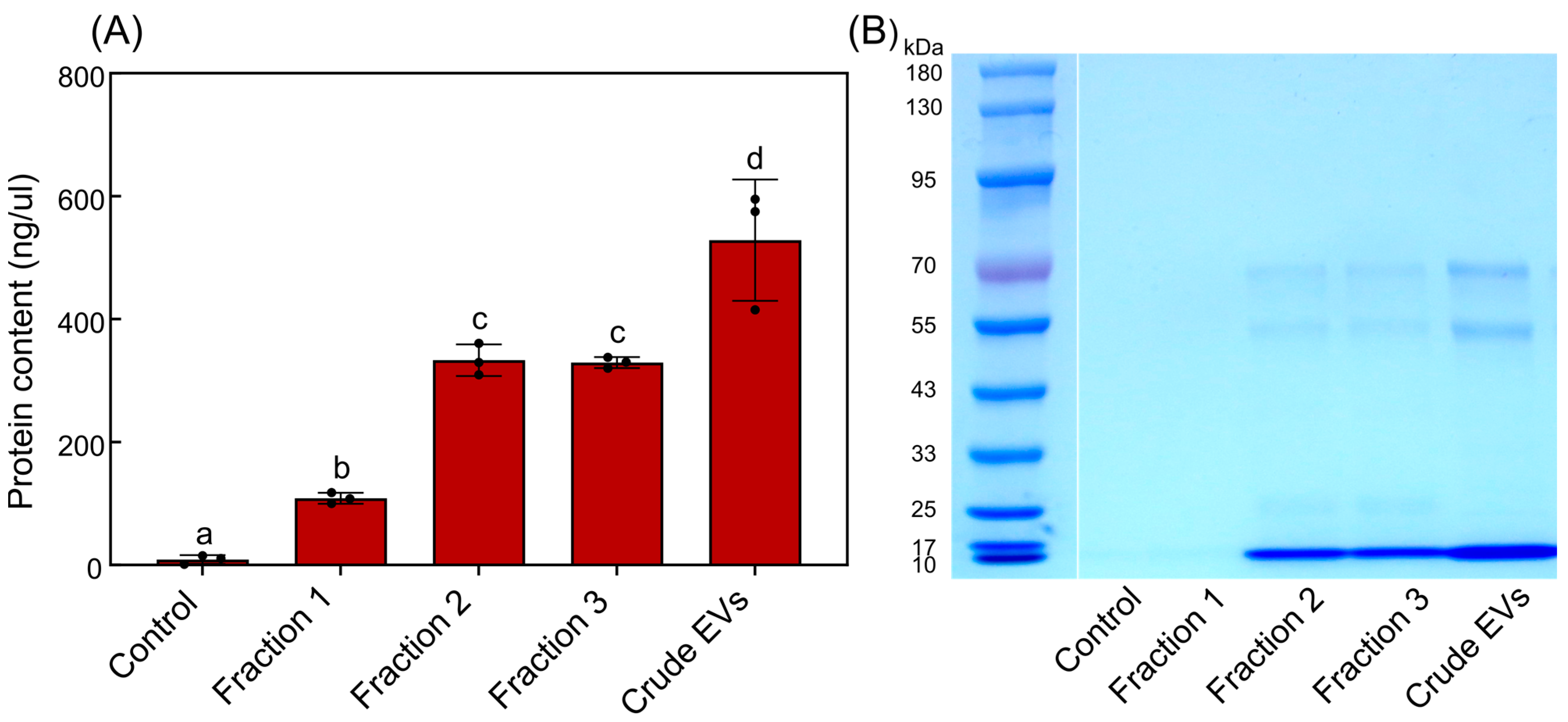 Plants 13 03534 g002