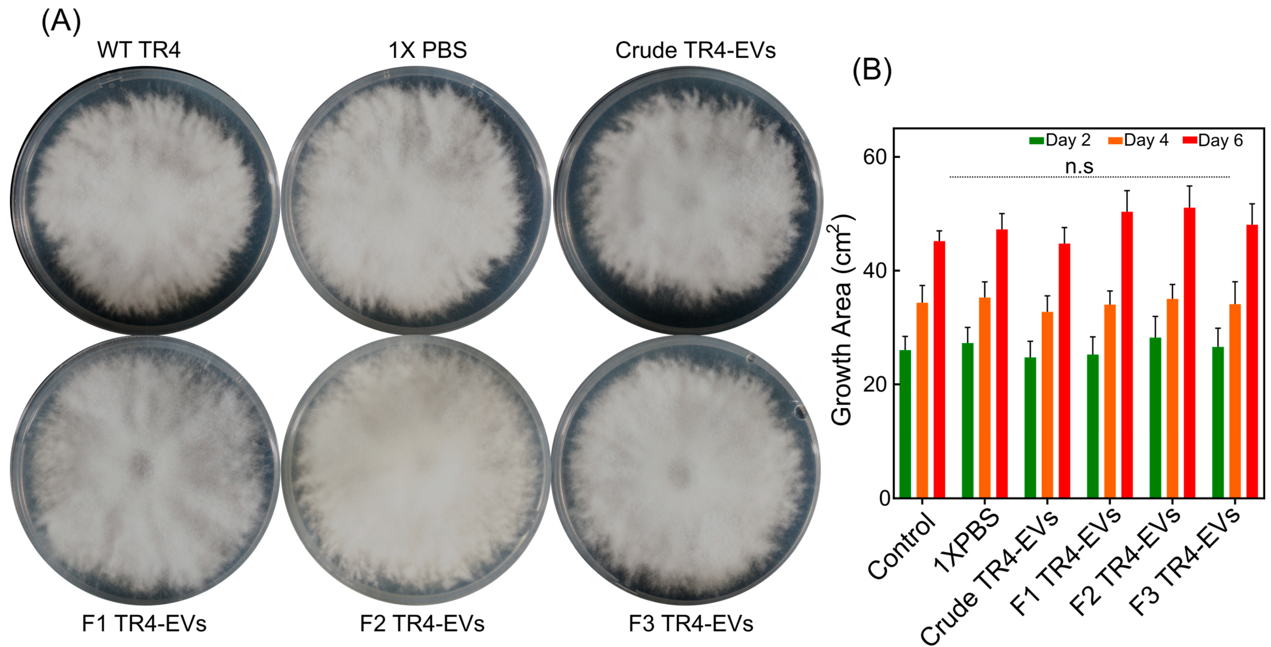 Plants 13 03534 g004