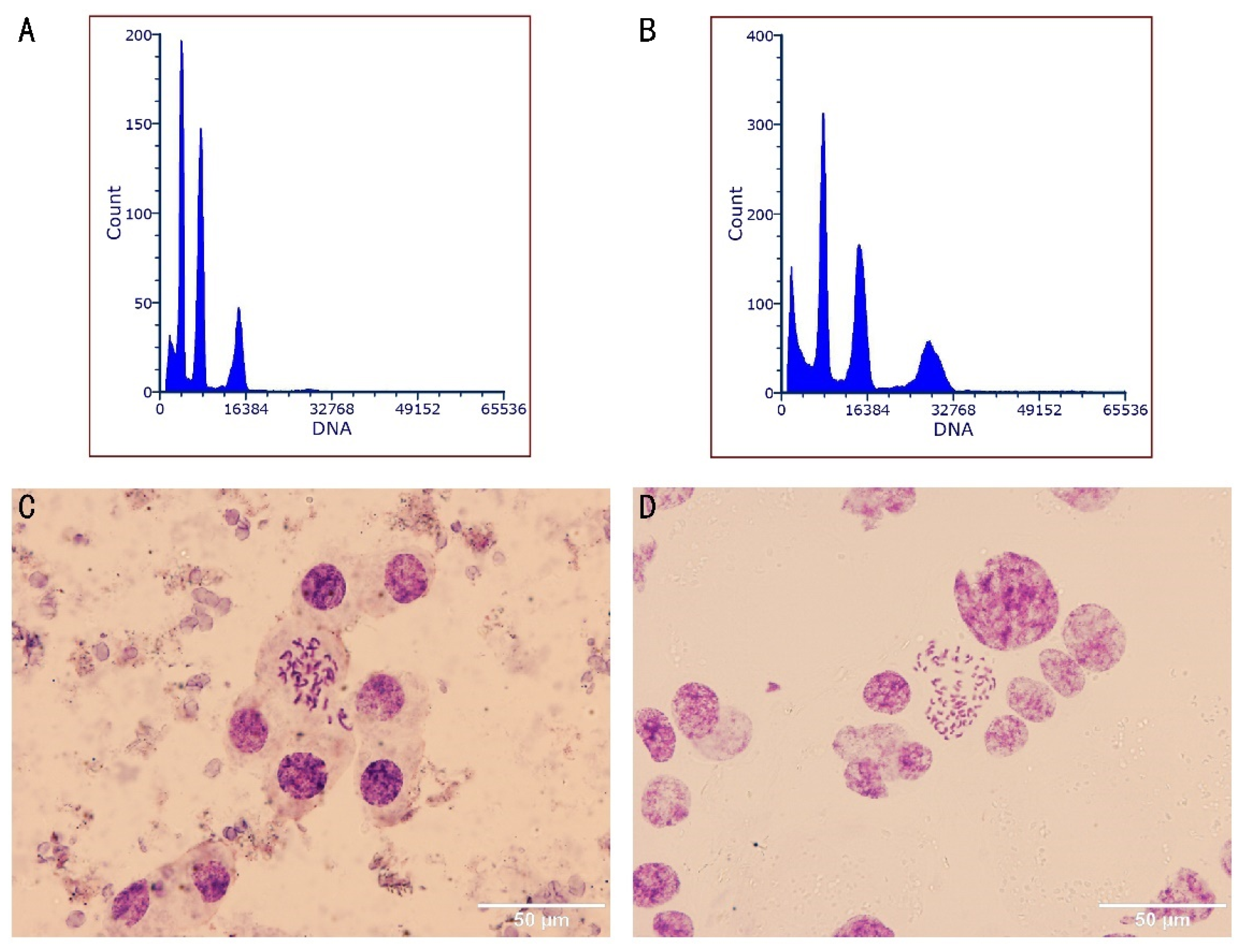 Plants 13 03535 g002