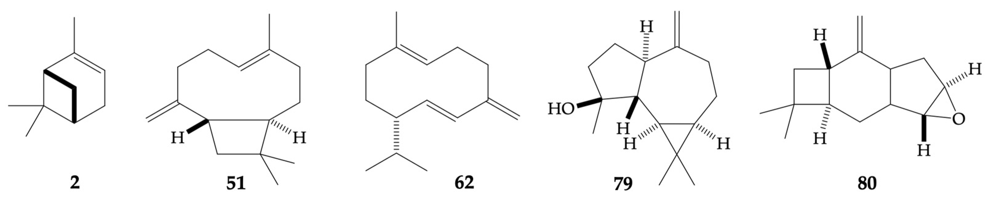 Plants 13 03543 g007 Plants 13 03543 g007