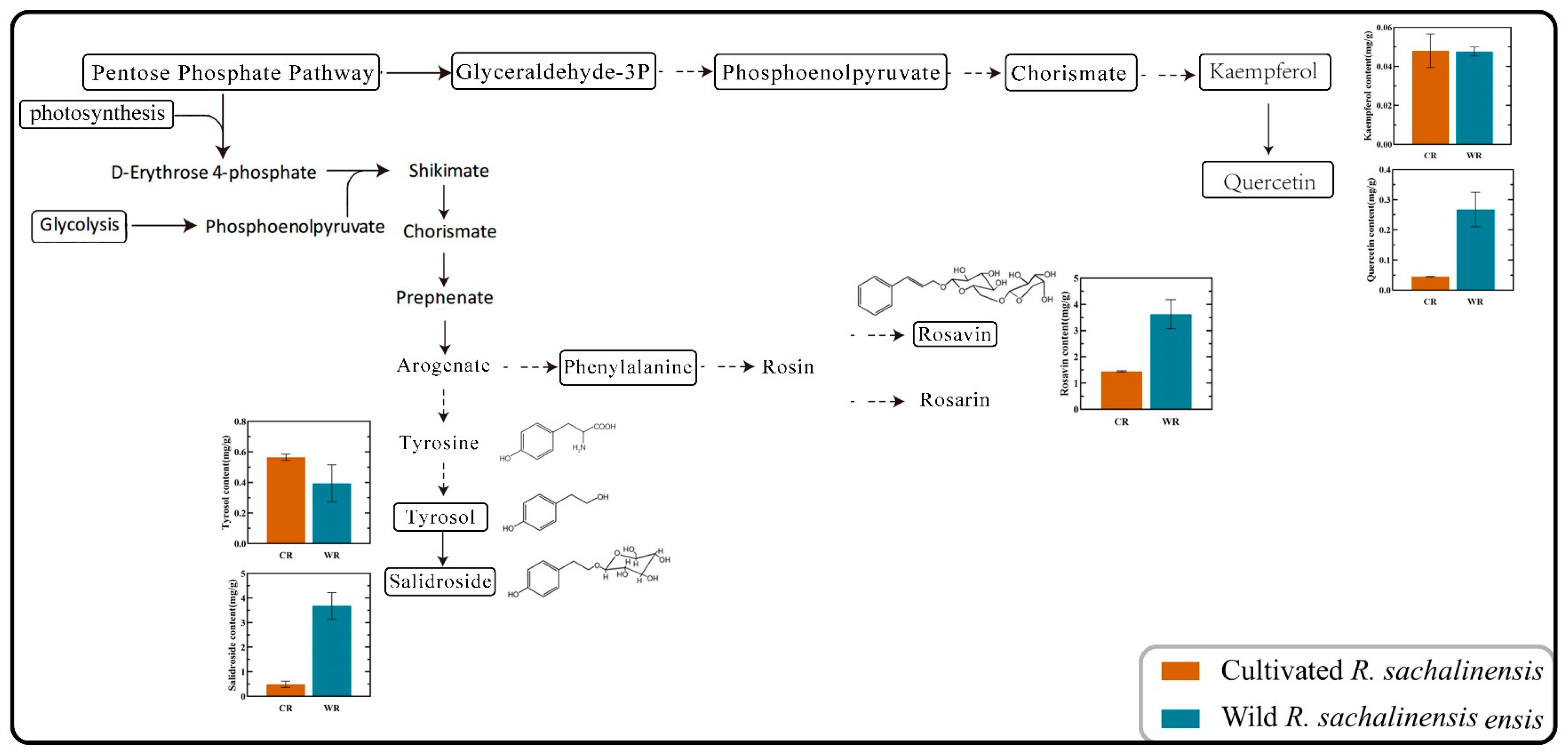 Plants 13 03544 g005