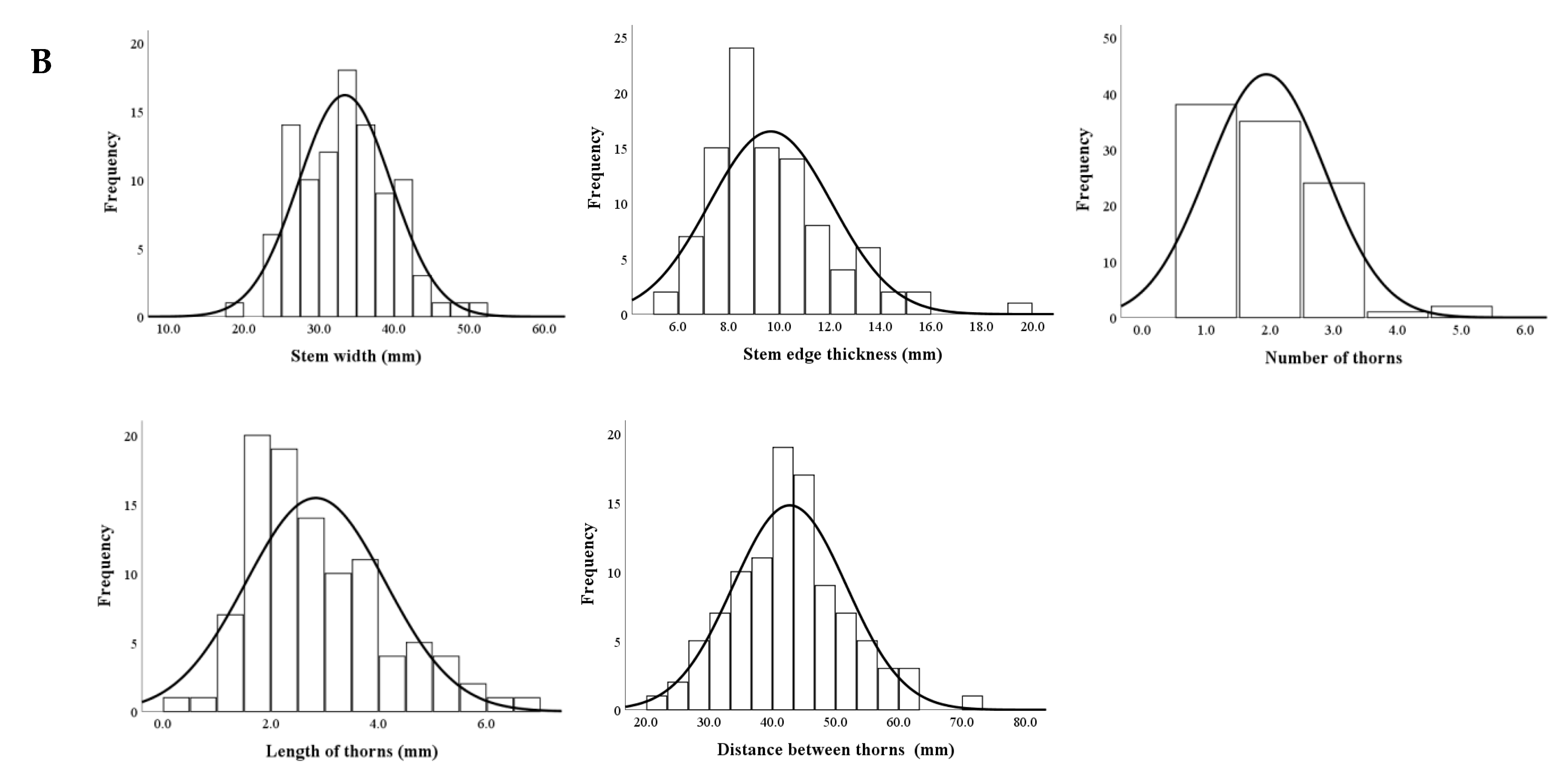 Plants 13 03546 g006b