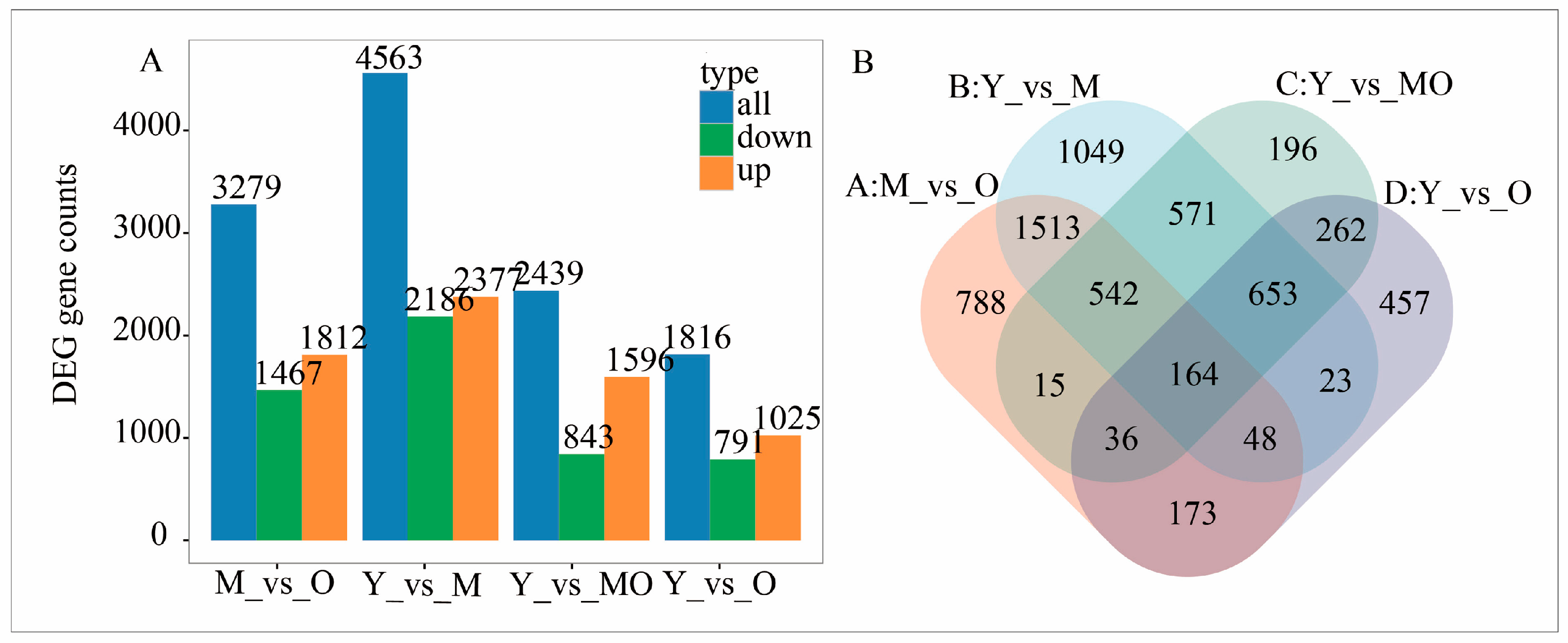 Plants 13 03549 g004 Plants 13 03549 g004