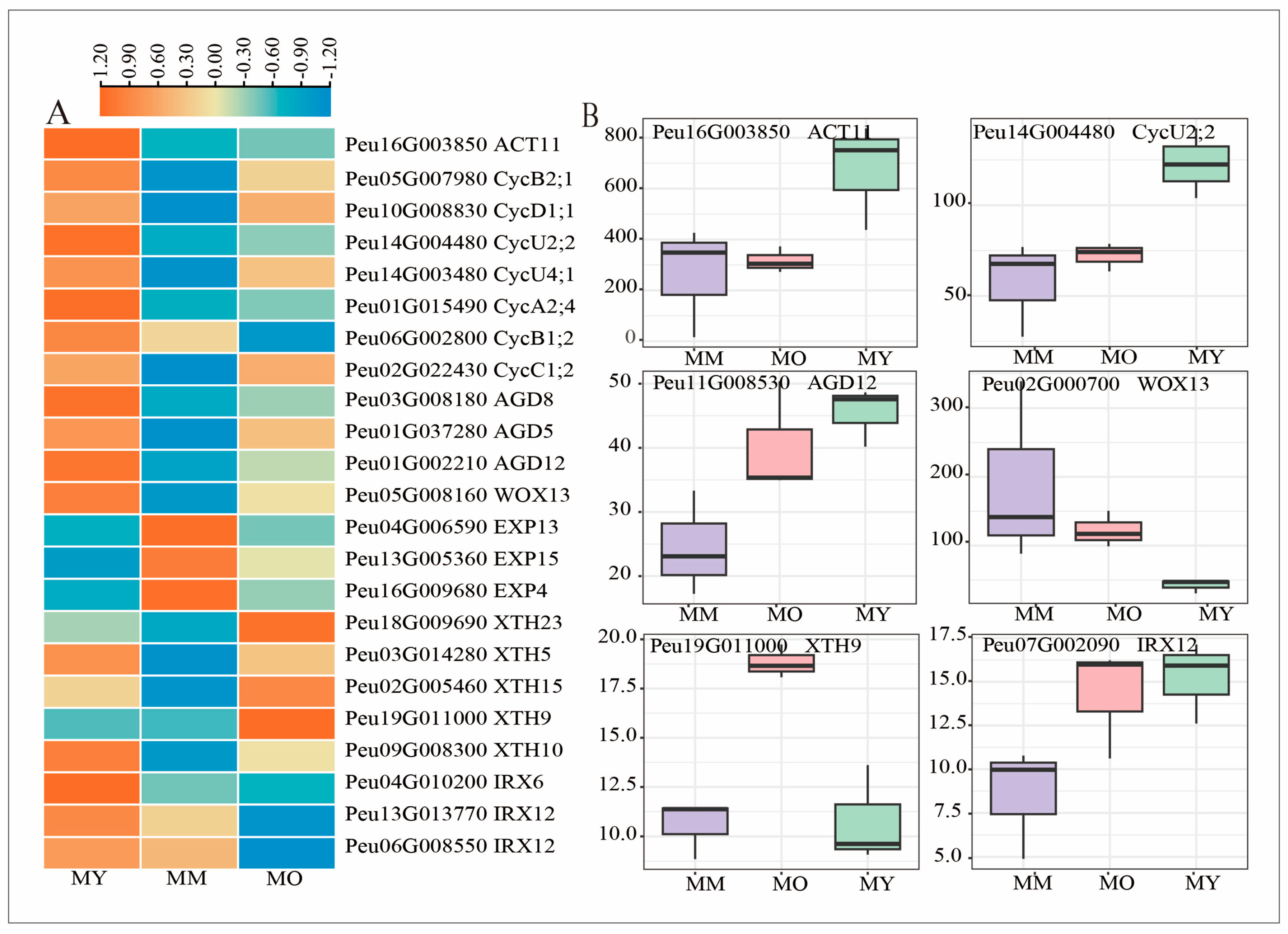 Plants 13 03549 g006 Plants 13 03549 g006