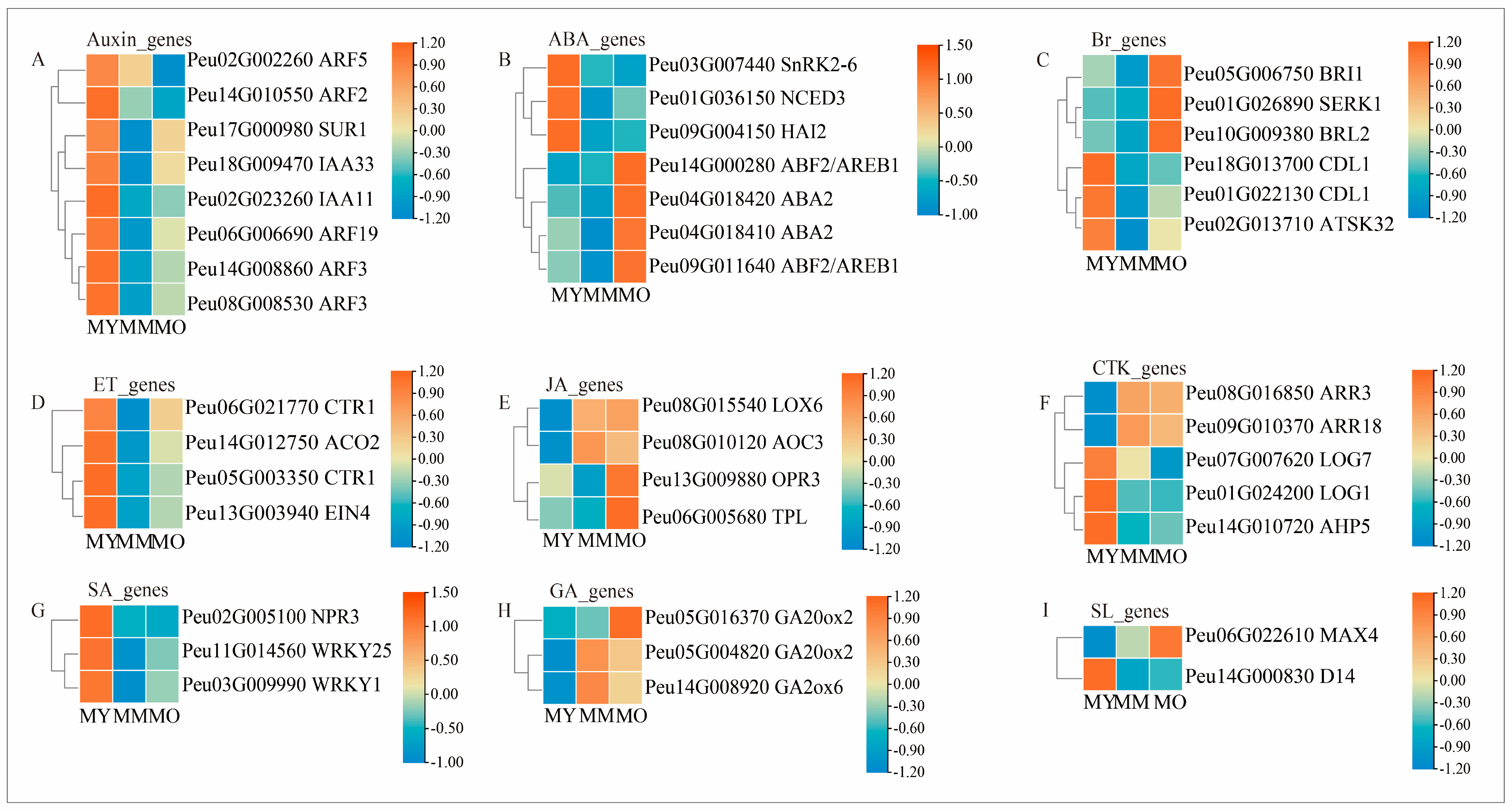 Plants 13 03549 g008 Plants 13 03549 g008