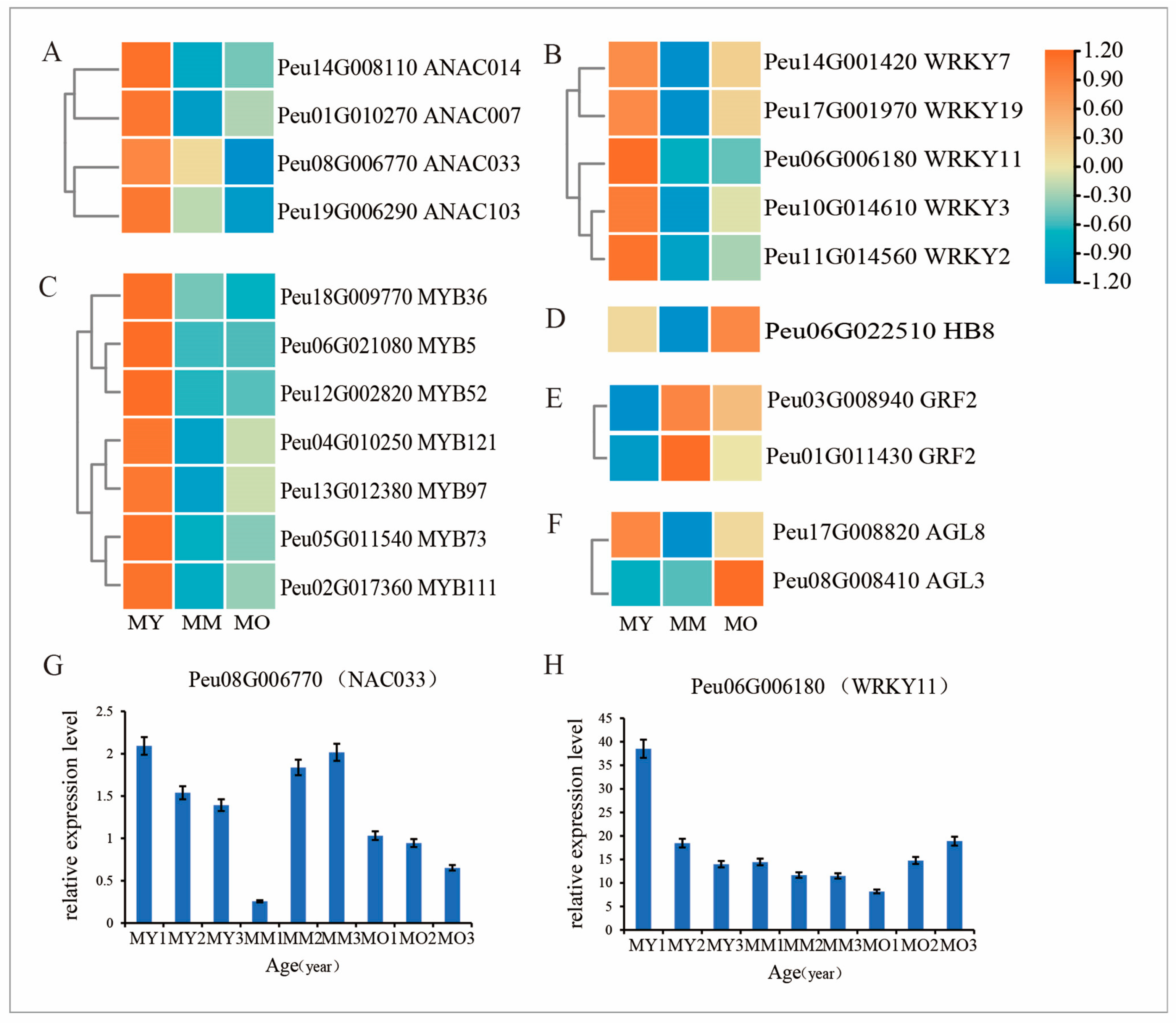 Plants 13 03549 g009 Plants 13 03549 g009