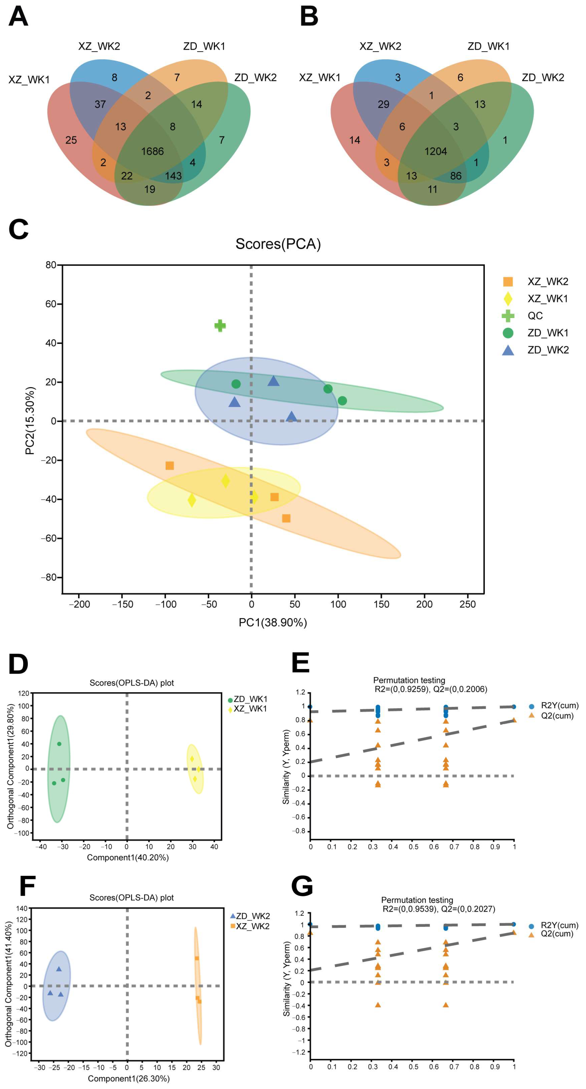 Plants 13 03554 g005