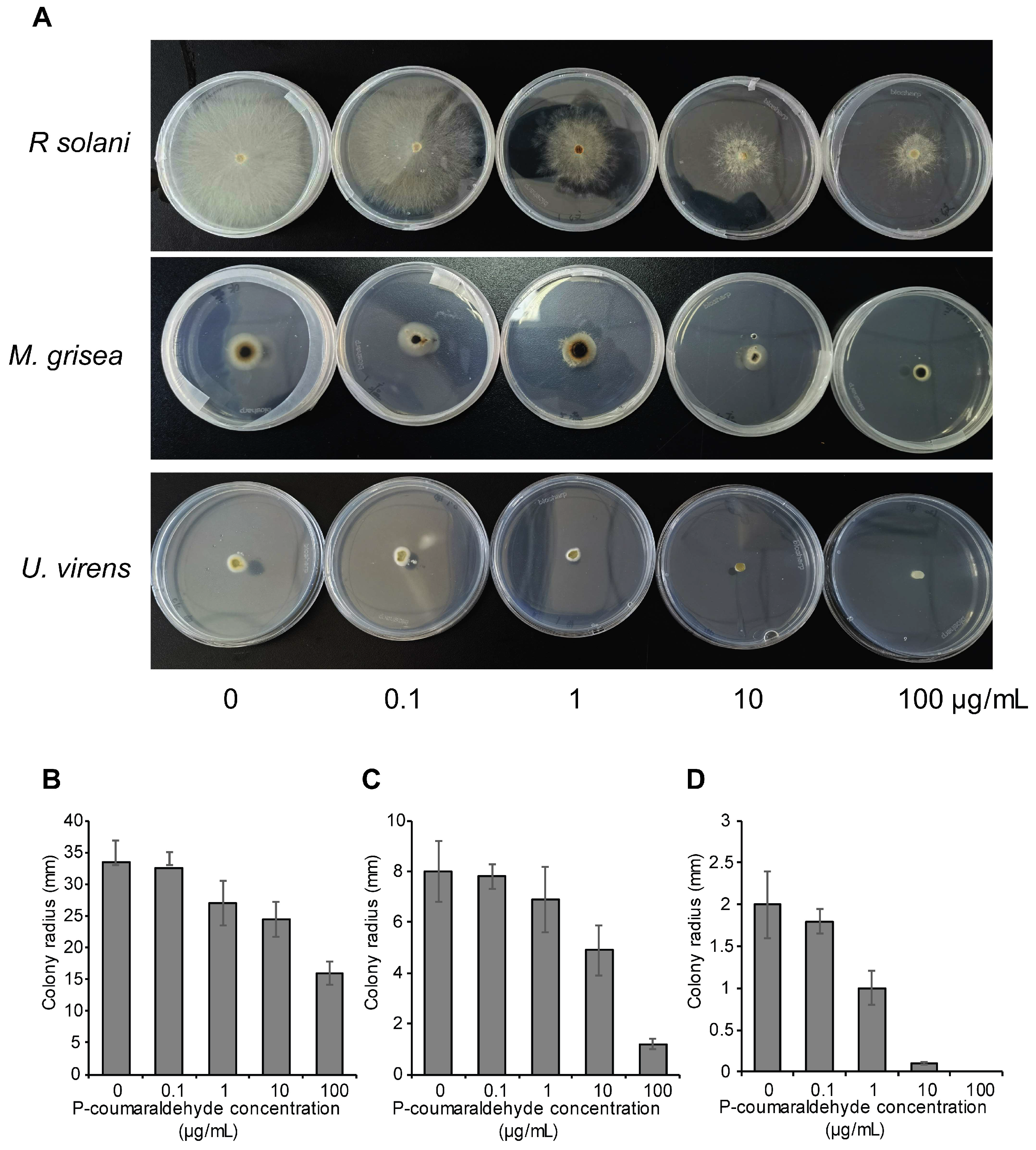 Plants 13 03554 g009