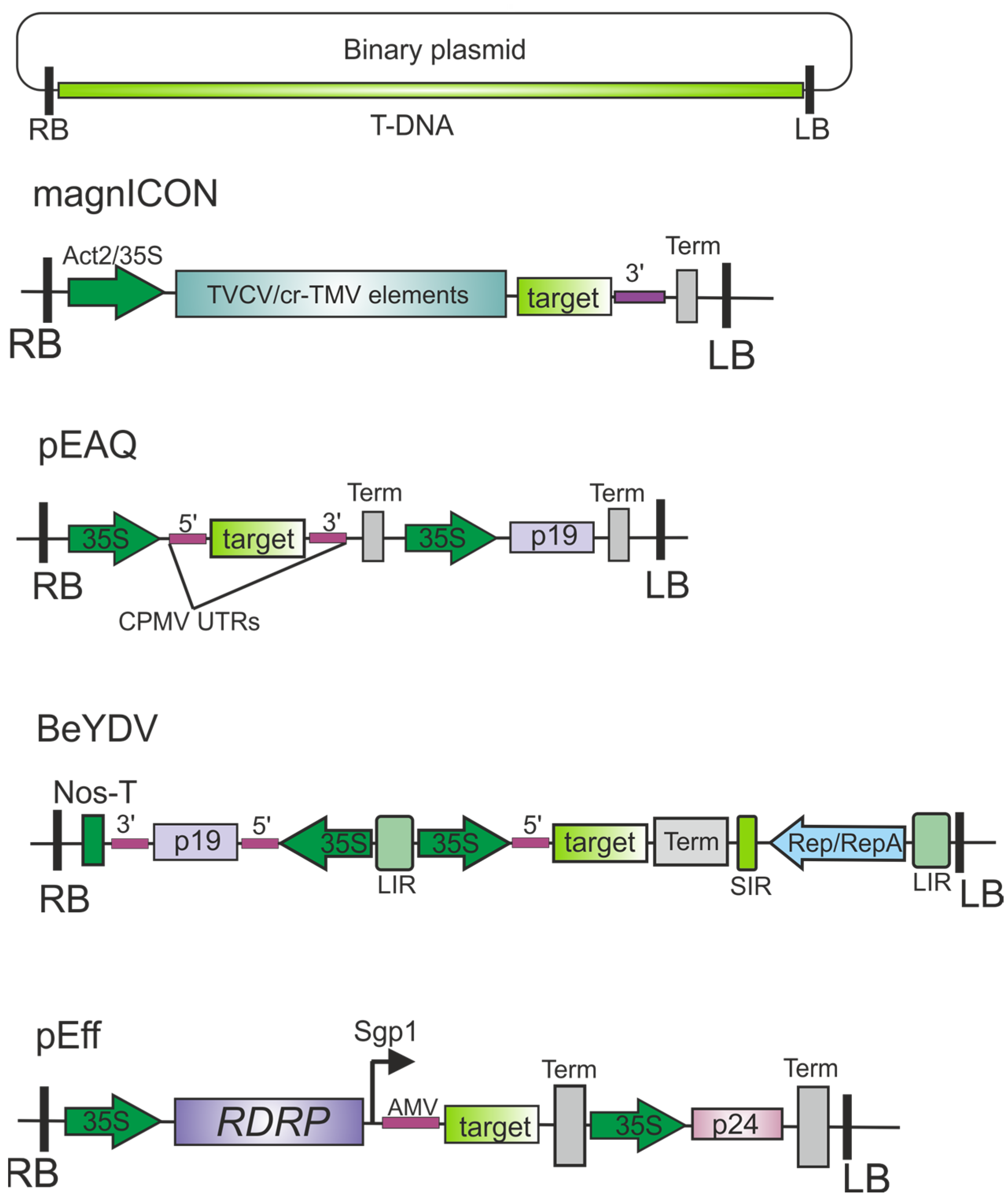 Plants 13 03564 g002 Plants 13 03564 g002