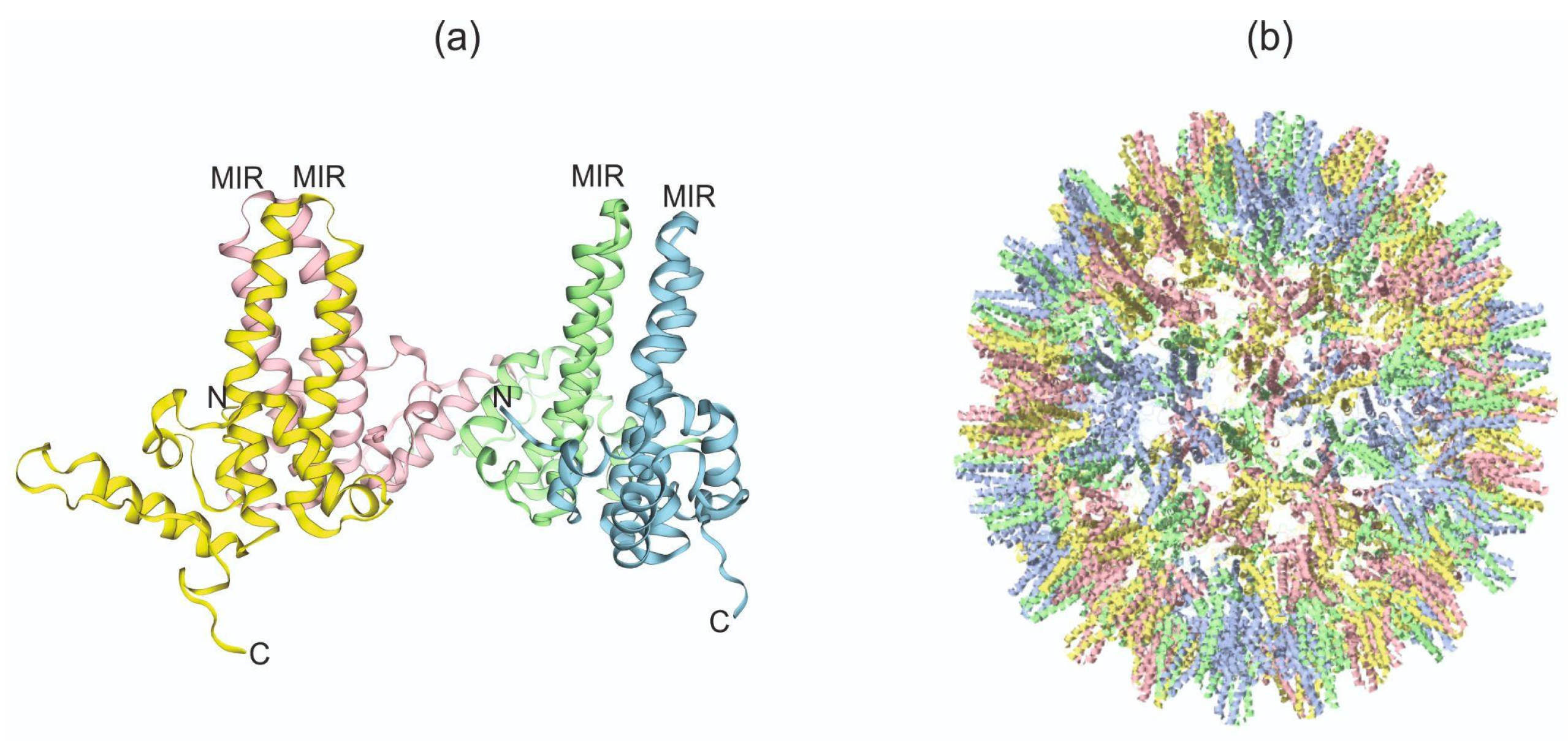 Plants 13 03564 g005 Plants 13 03564 g005