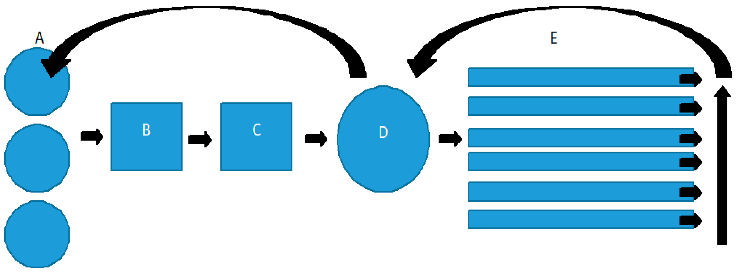 Plants 13 03566 g004