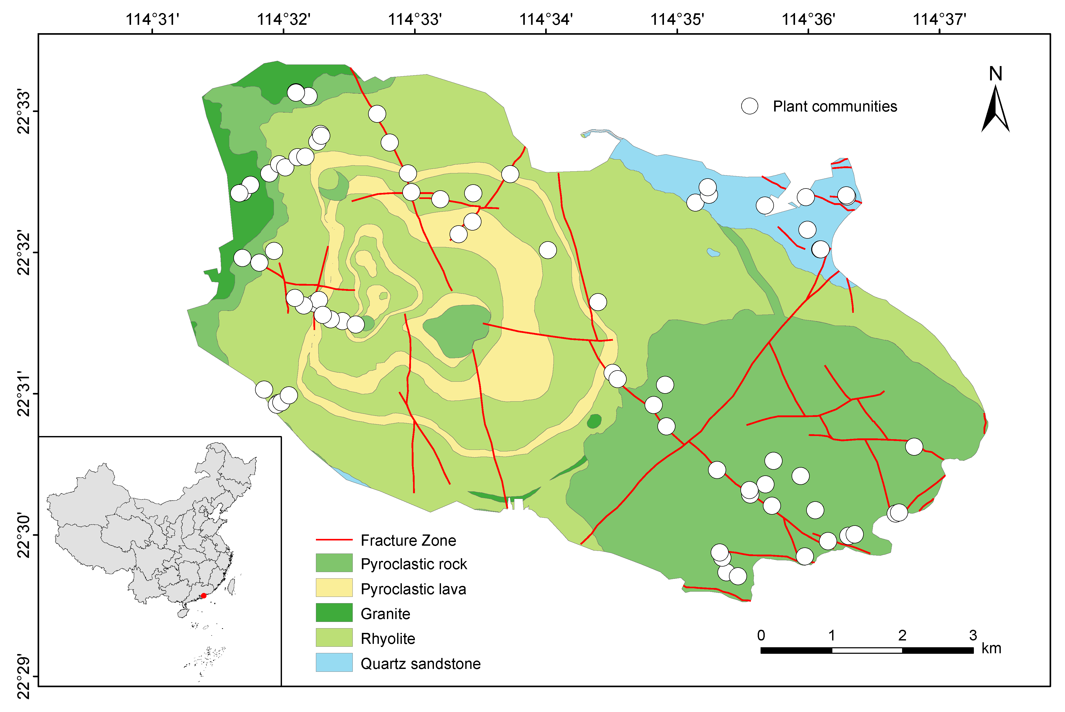 Plants 13 03567 g001