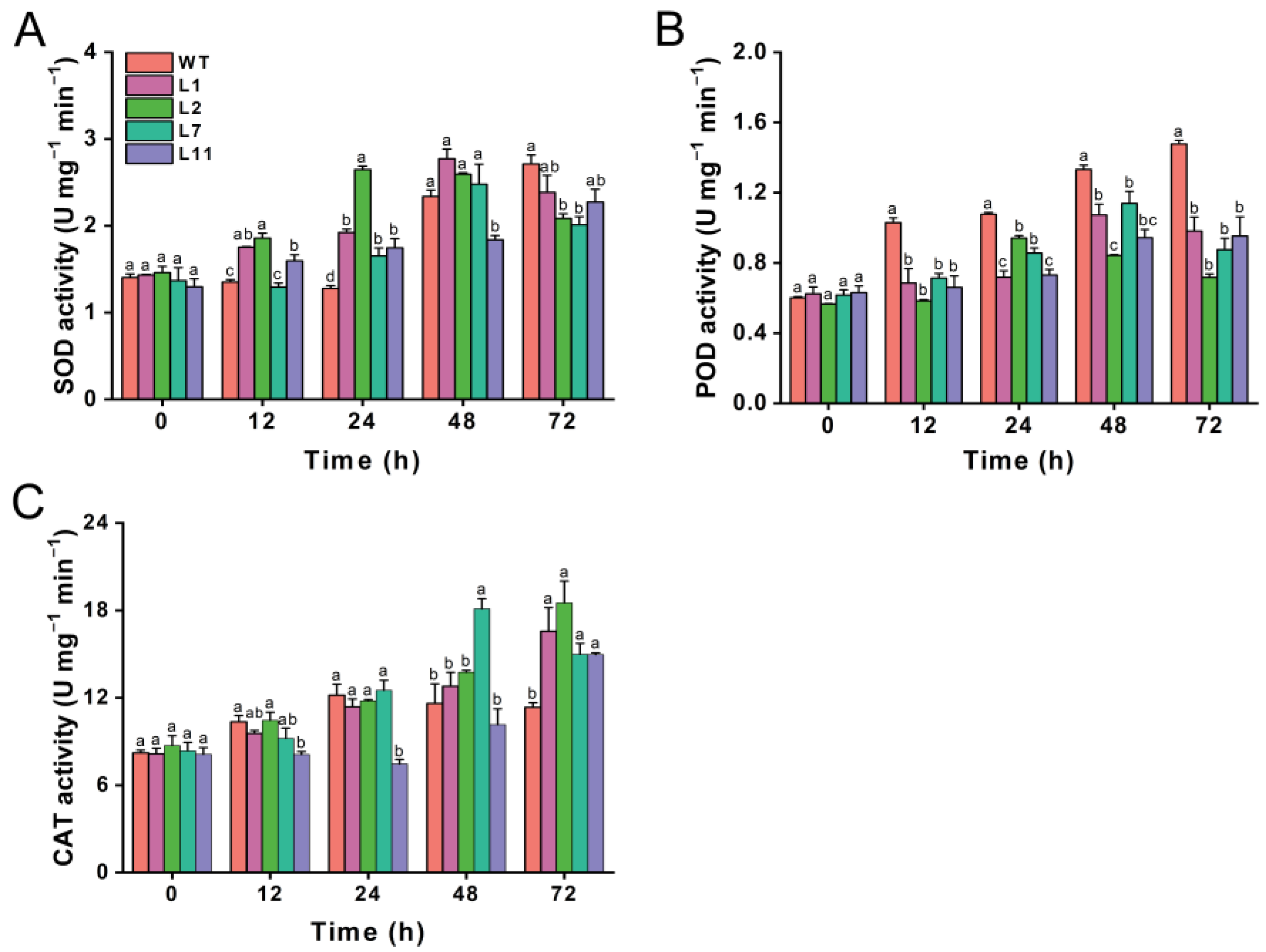 Plants 13 03568 g007