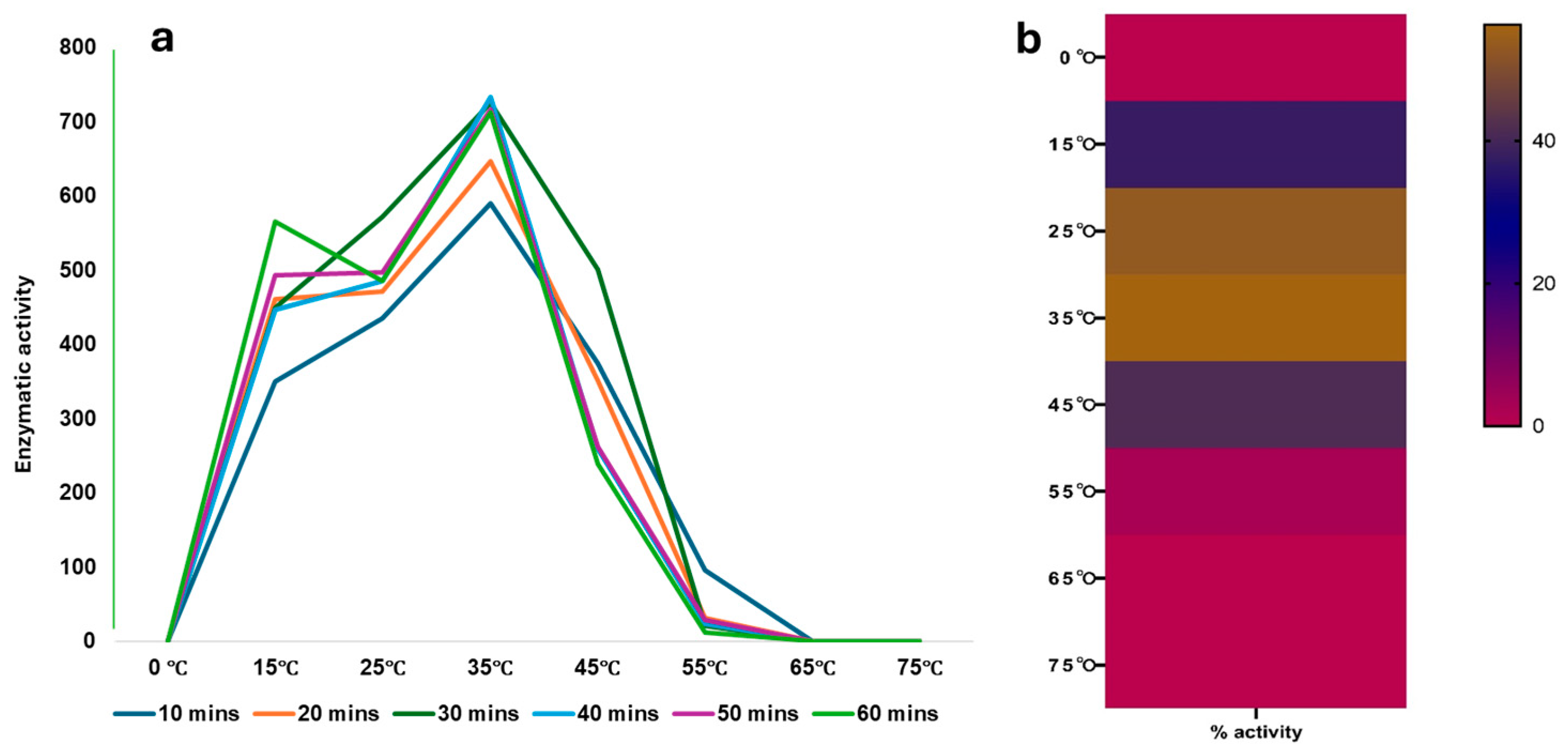 Plants 13 03570 g004