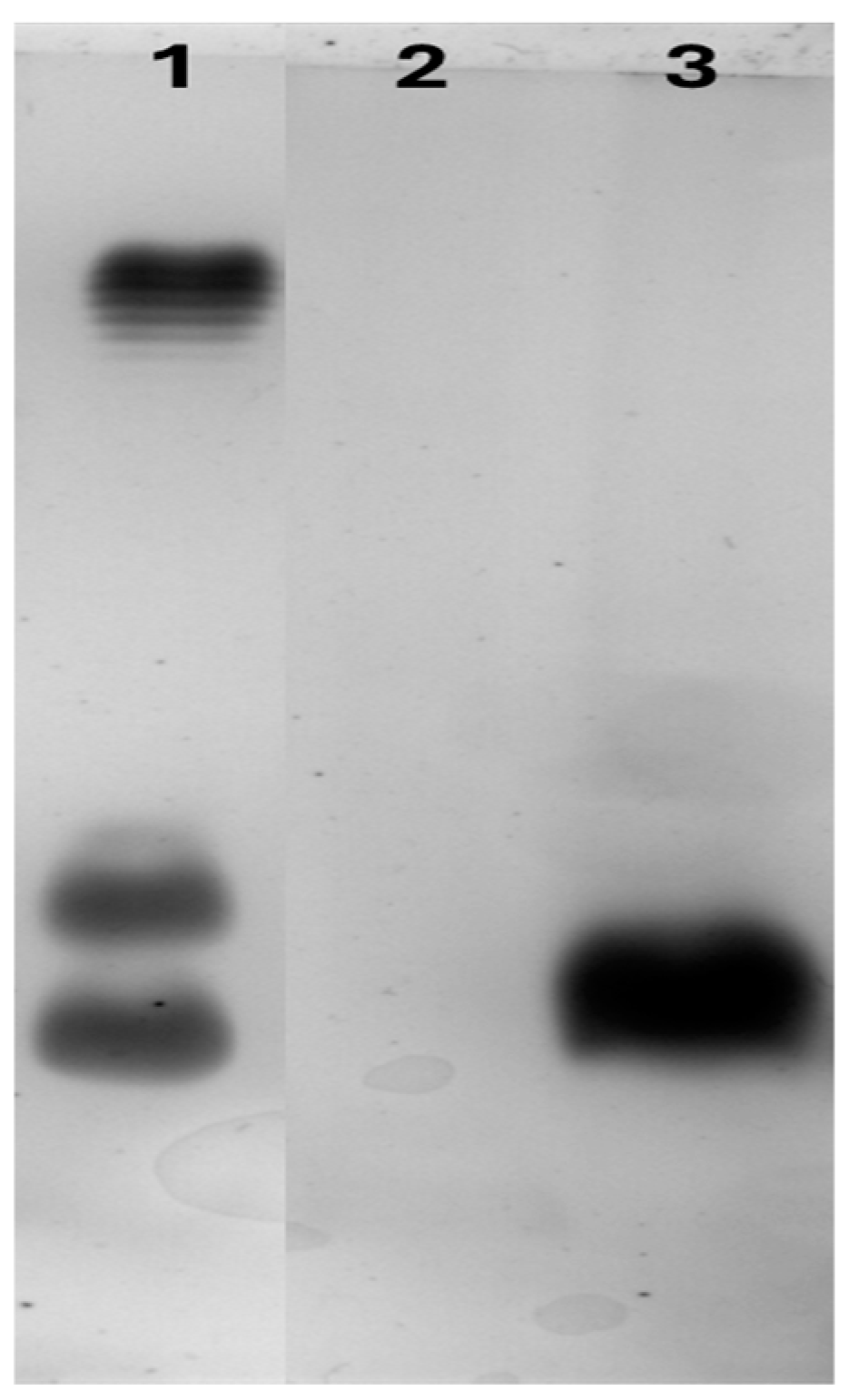 Plants 13 03570 g008