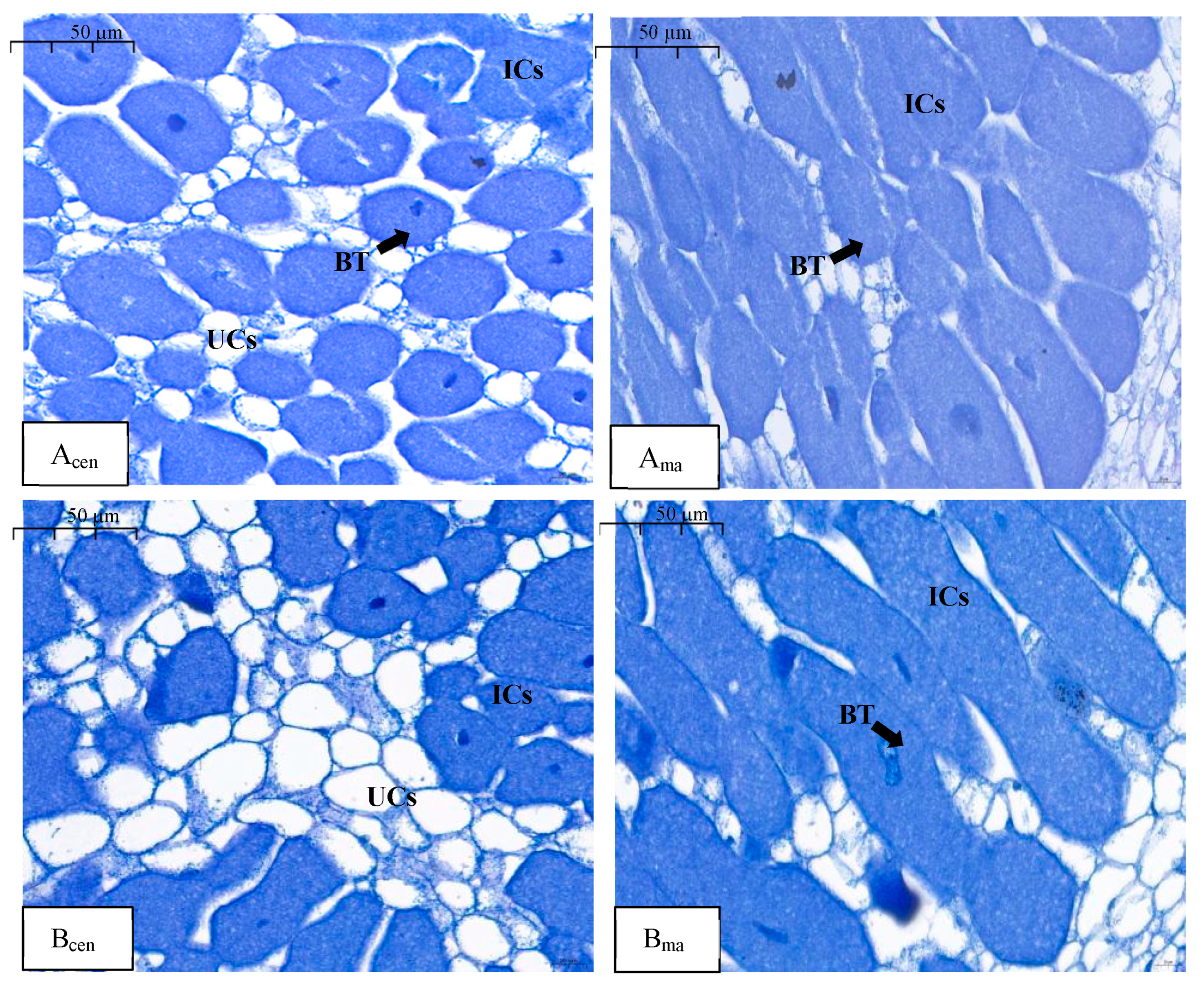 Plants 13 03571 g001 Plants 13 03571 g001