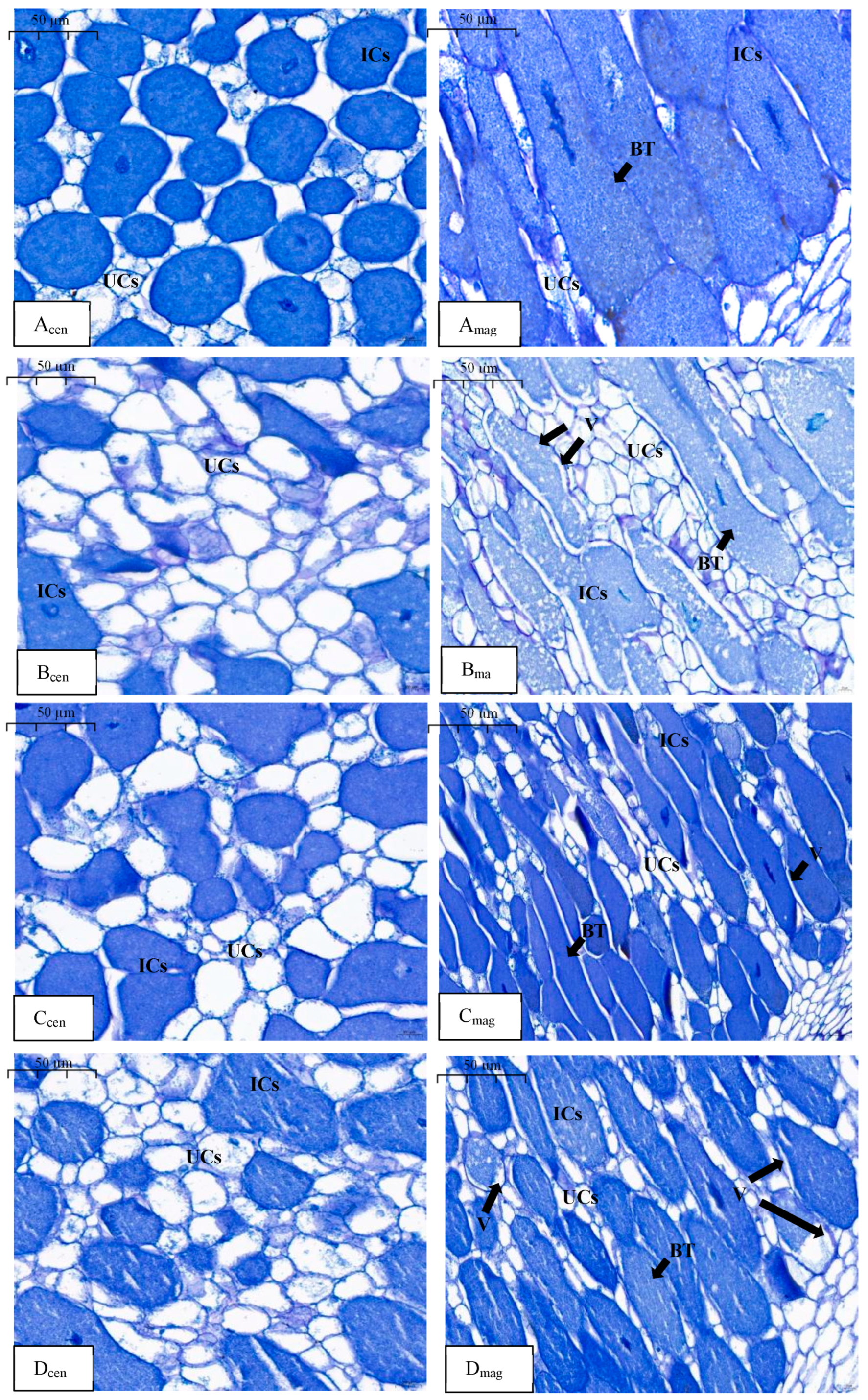 Plants 13 03571 g003 Plants 13 03571 g003