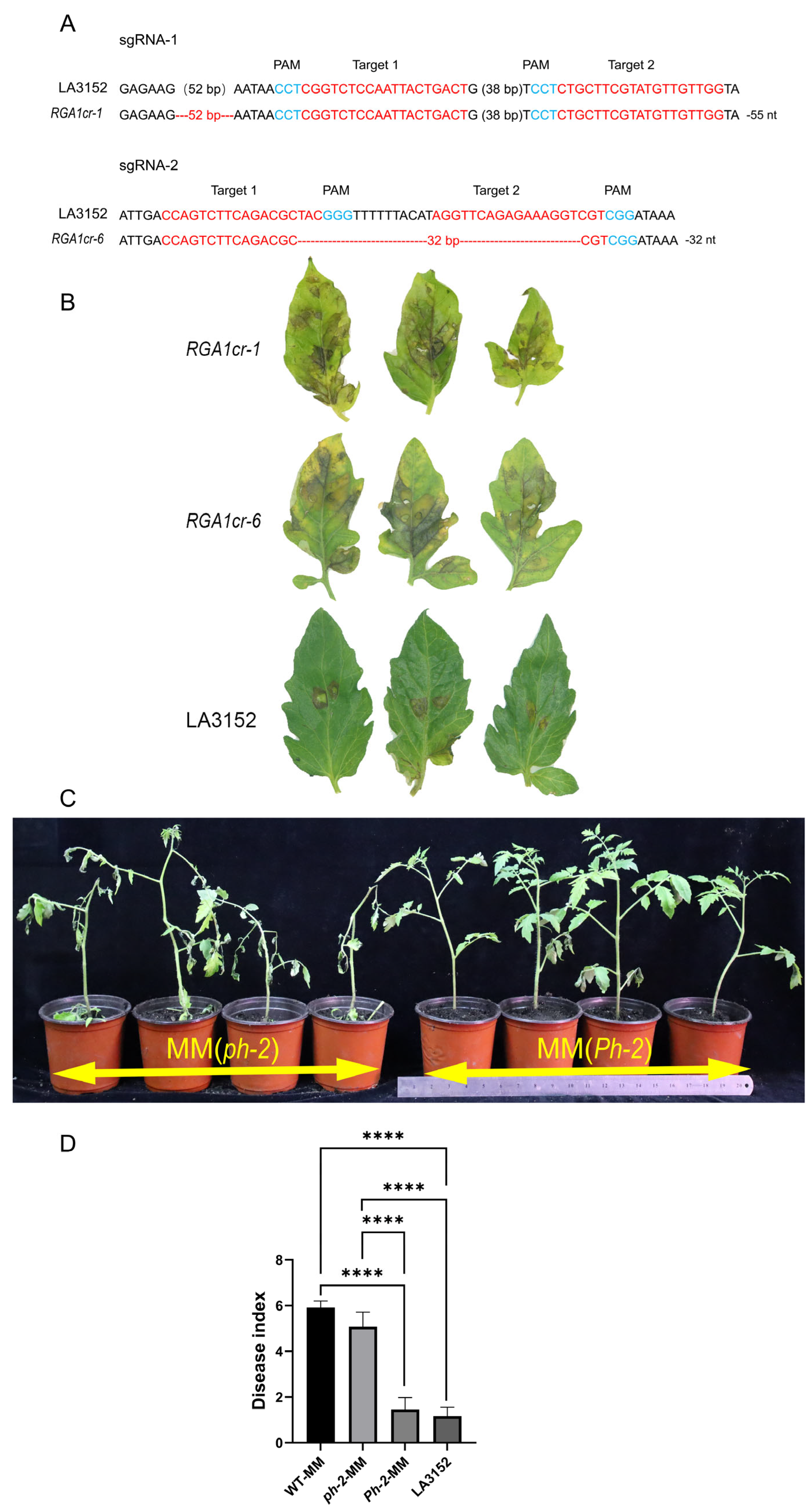 Plants 13 03572 g002