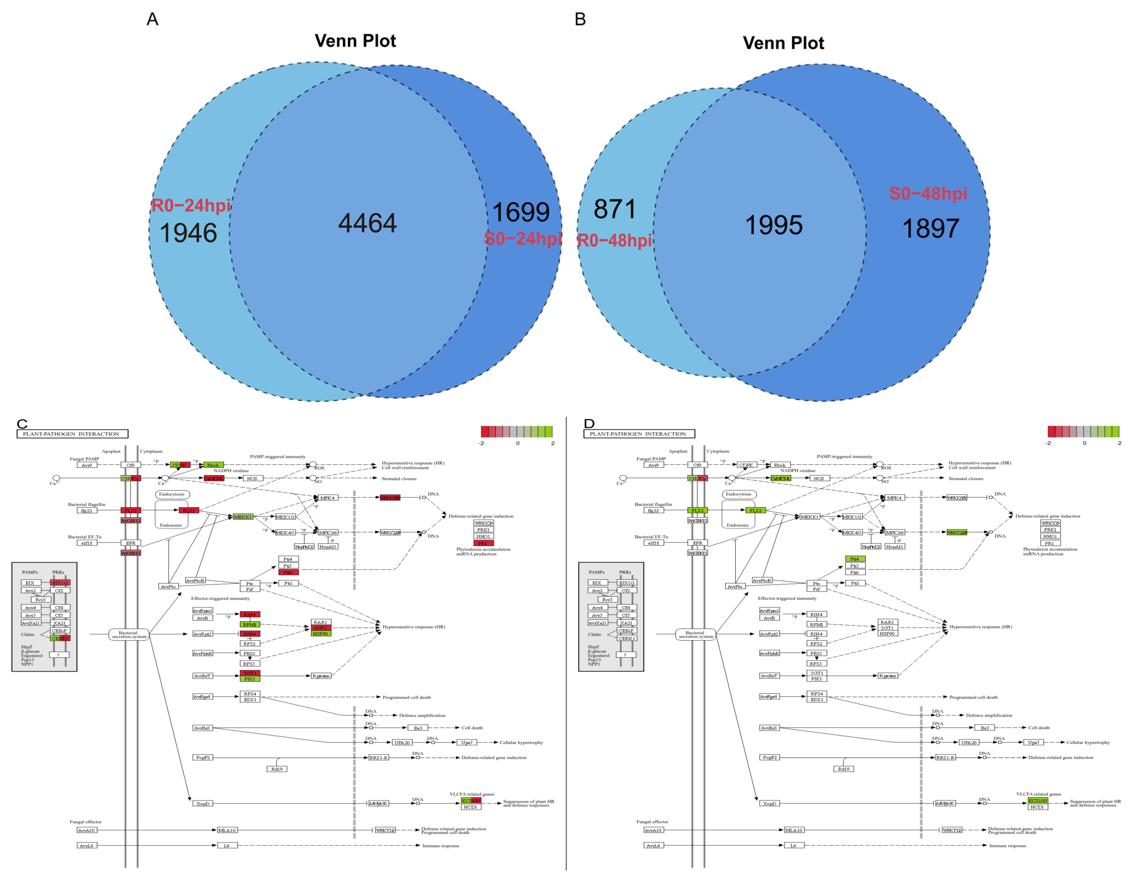 Plants 13 03572 g006
