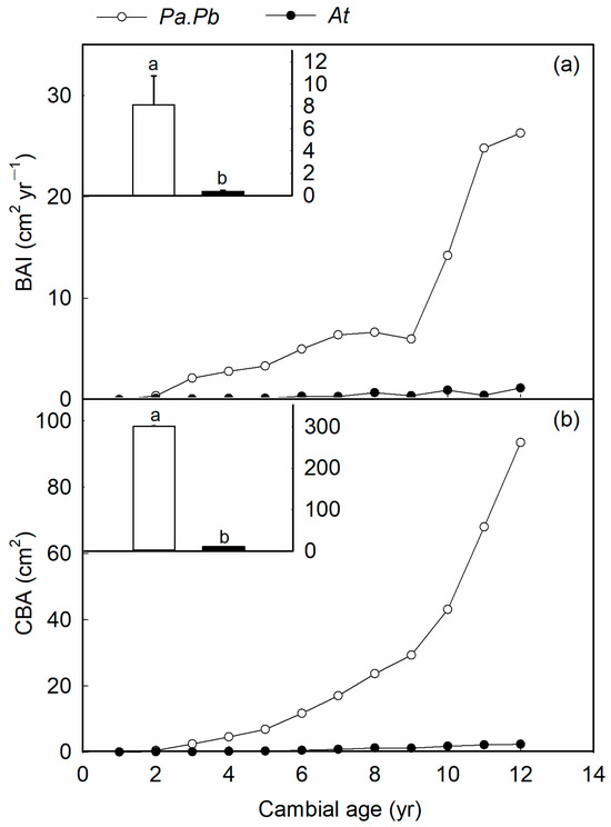 Xylem Hydraulics of Two Temperate Tree Species with